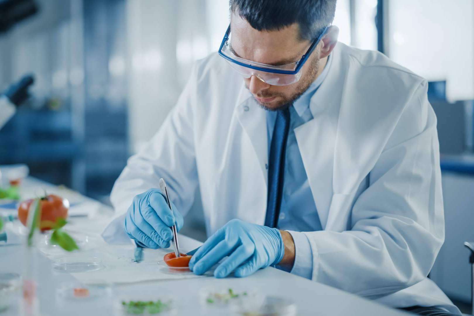 Seguridad alimentaria con Sigesmar, asesoría técnica para empresas y manipulación de alimentos