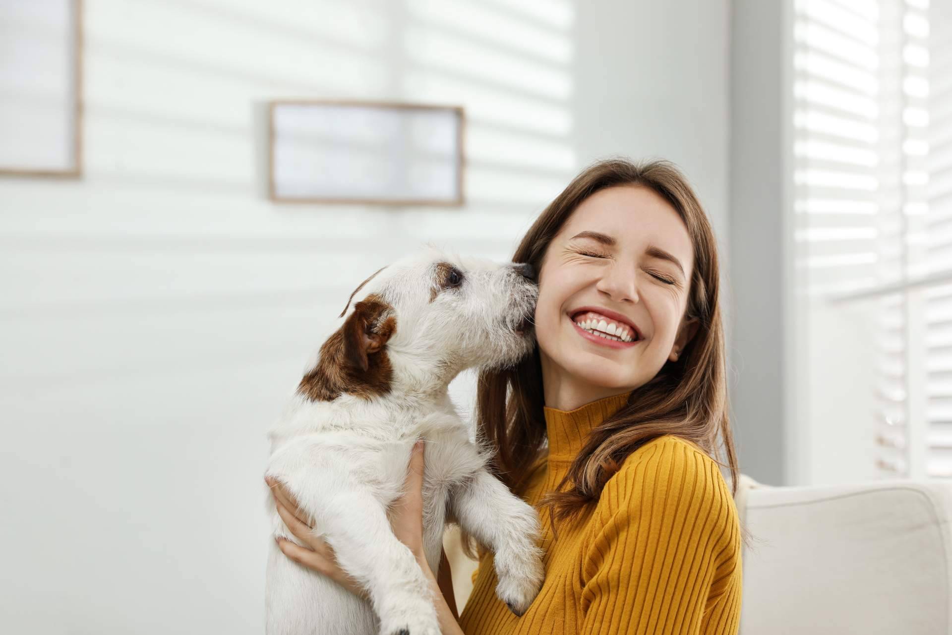 Formarse en antrozoología (ciencia del vínculo humano-animal) para conectar con los animales de compañía