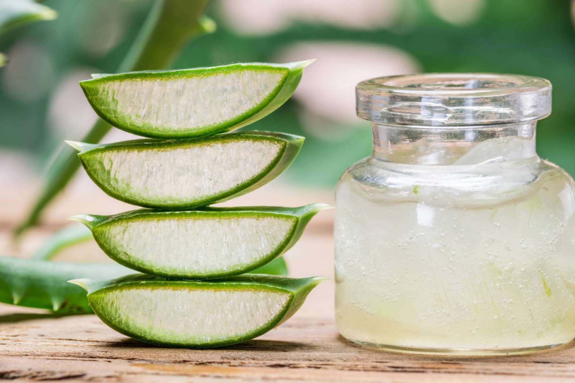 Los beneficios del aloe vera en la cosmética de CrisEssens