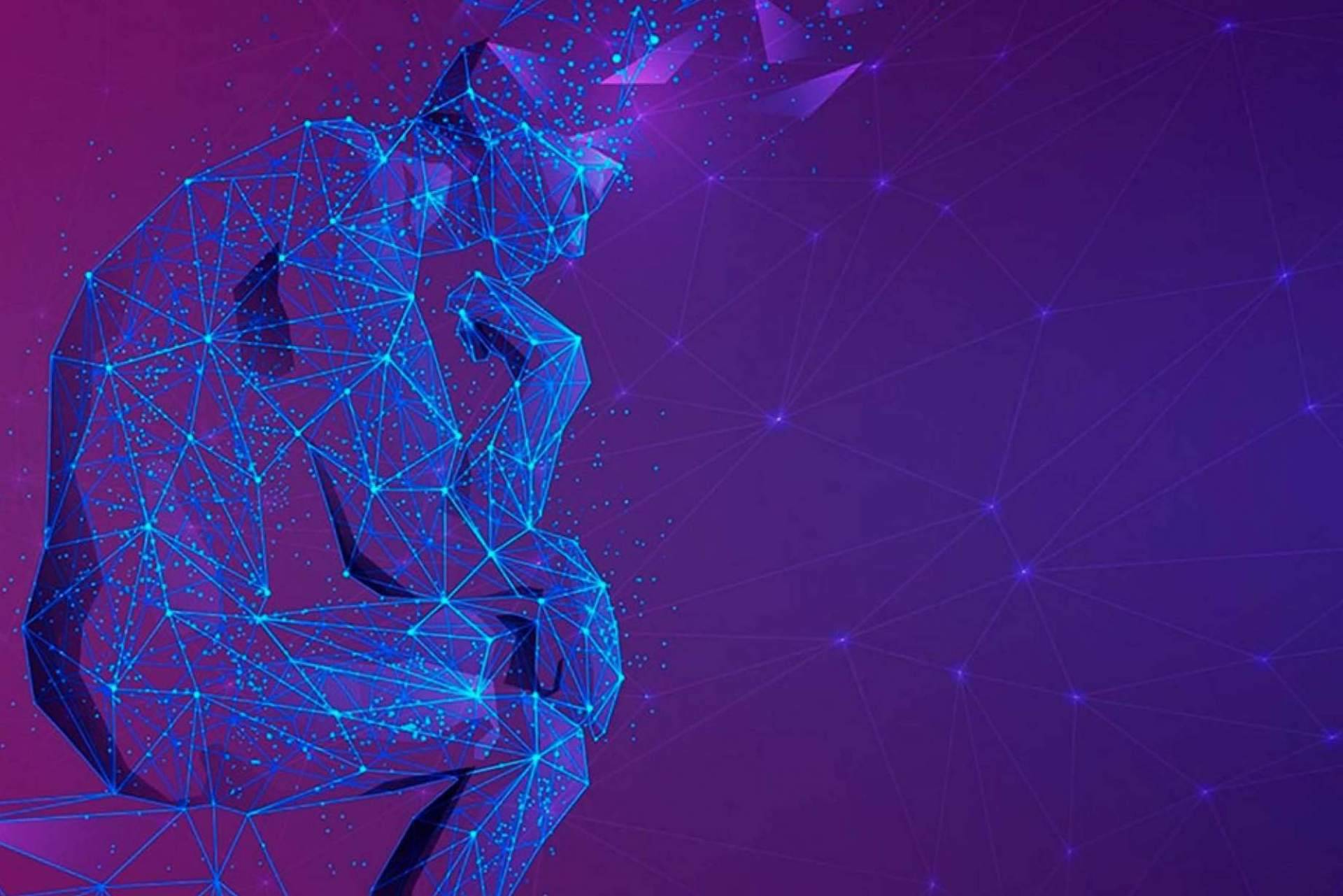 Descubrir el plan de formación de inteligencia emocional desde el estudio científico de la Psicología, la Neurociencia y la Salud desde el Instituto Psicobiológico