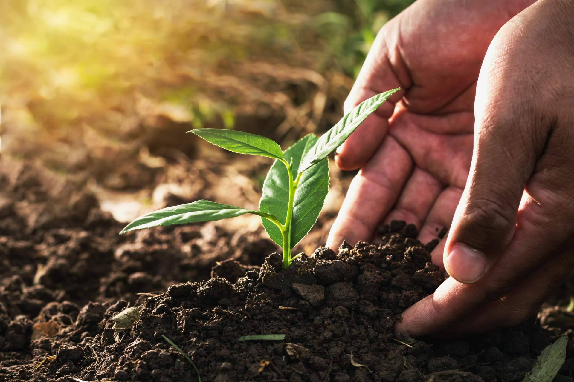 La Tienda del Jardín ofrece compostadores para convertir los residuos en abono