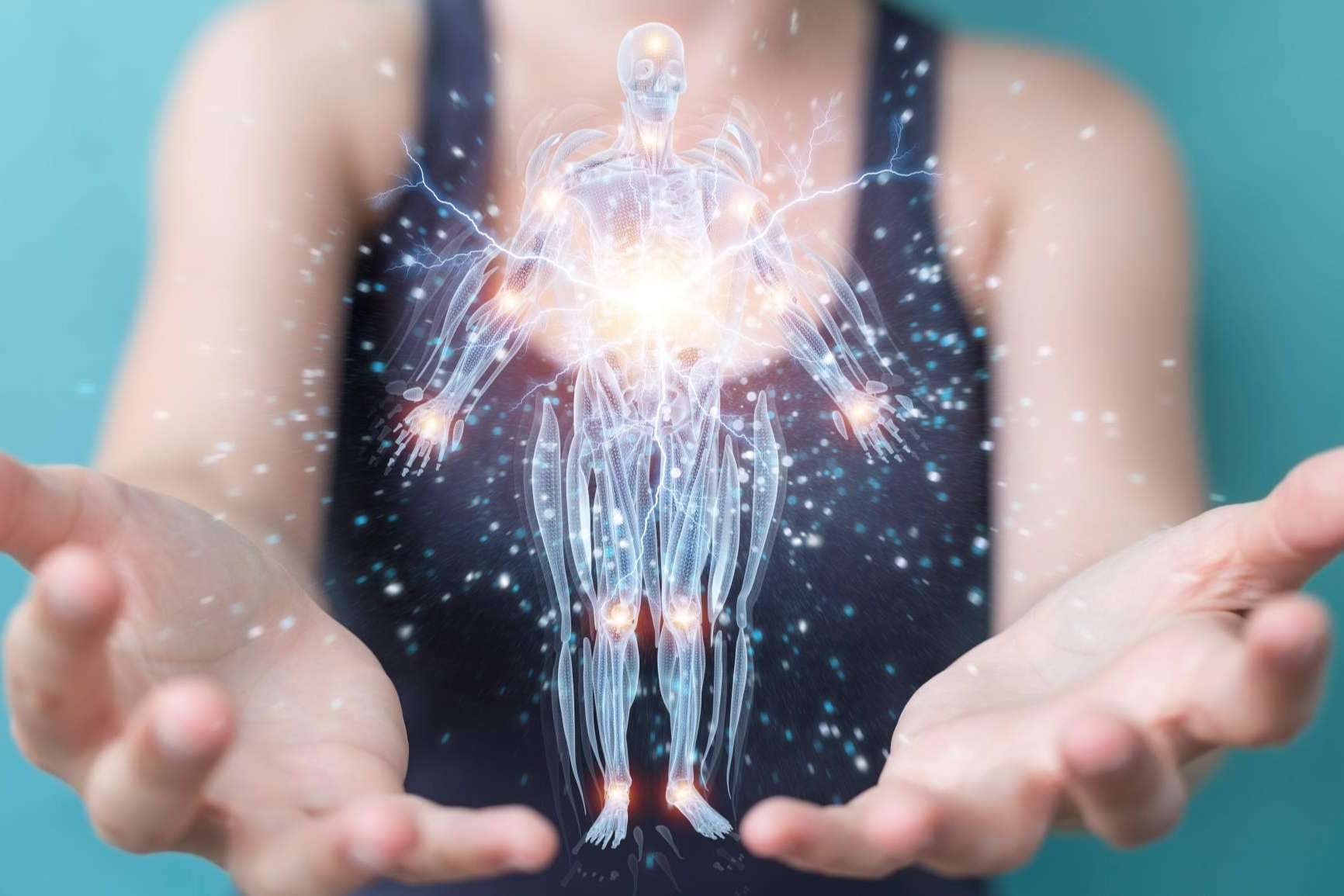 La importancia de conocer todas las partes del cuerpo humano de la mano de atlasdeanatomía.com