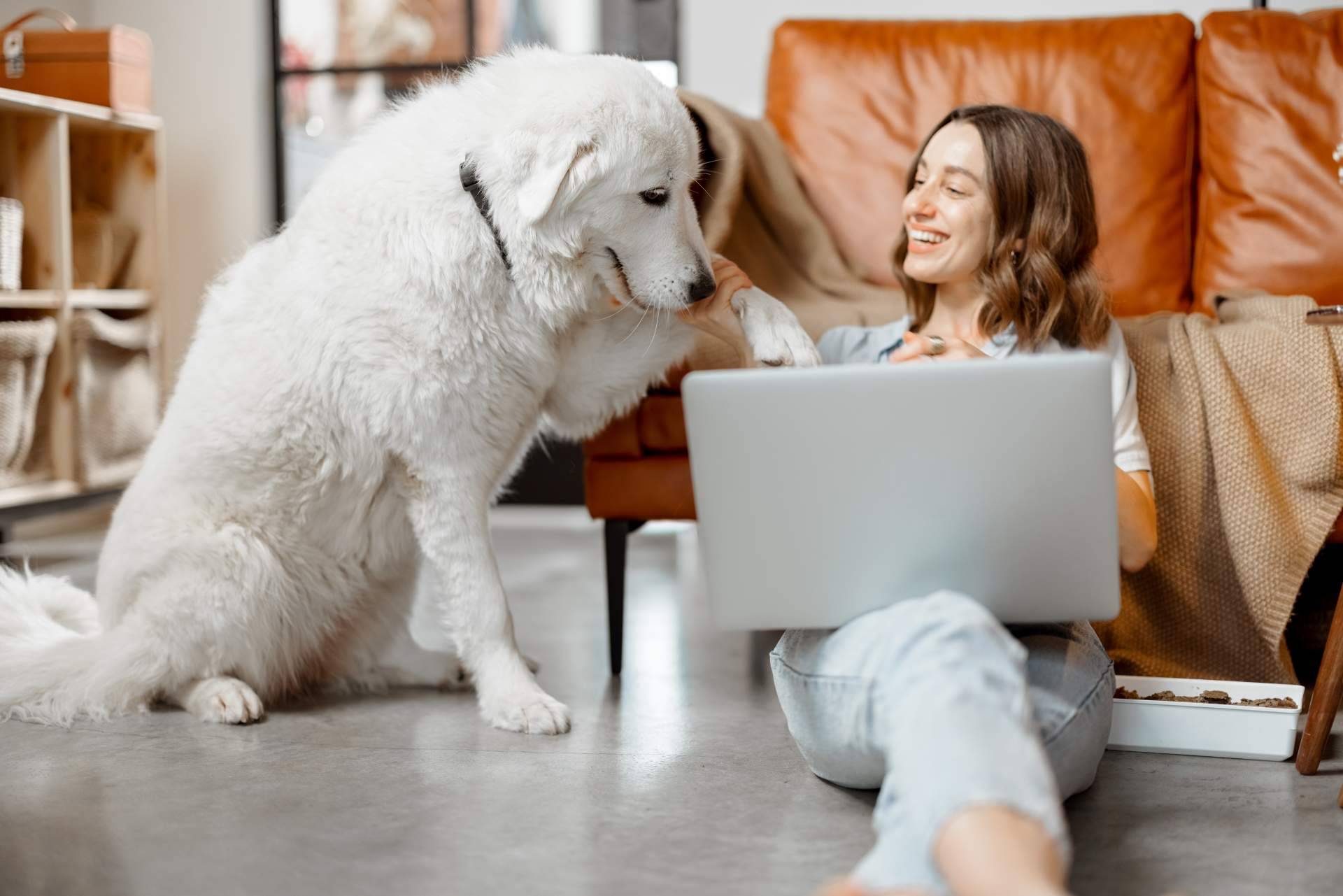 Leer diariamente el blog de 1 Click Vet y sus beneficios