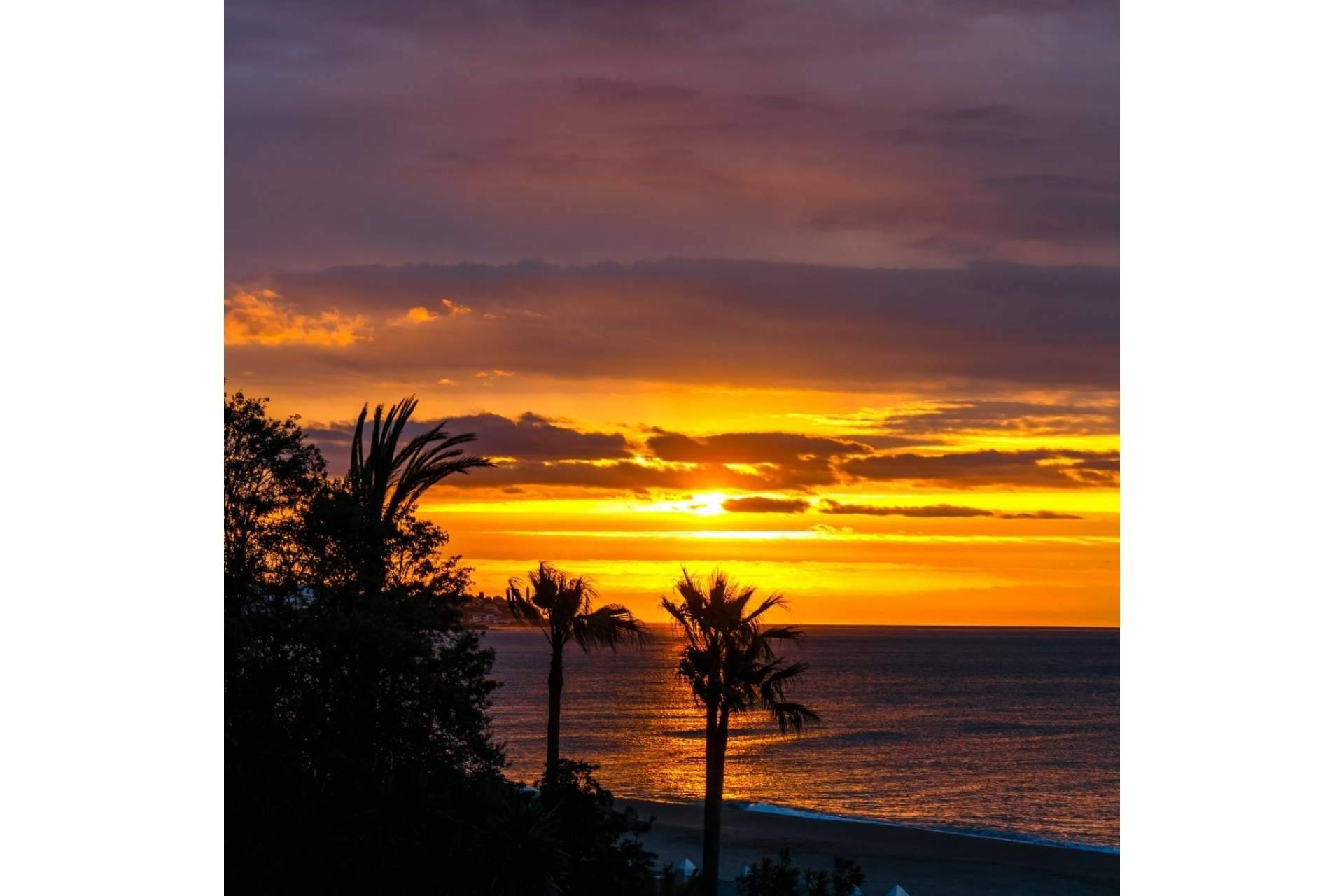 Una inmobiliaria para encontrar viviendas de ensueño en la Costa del Sol es StreaM Flats