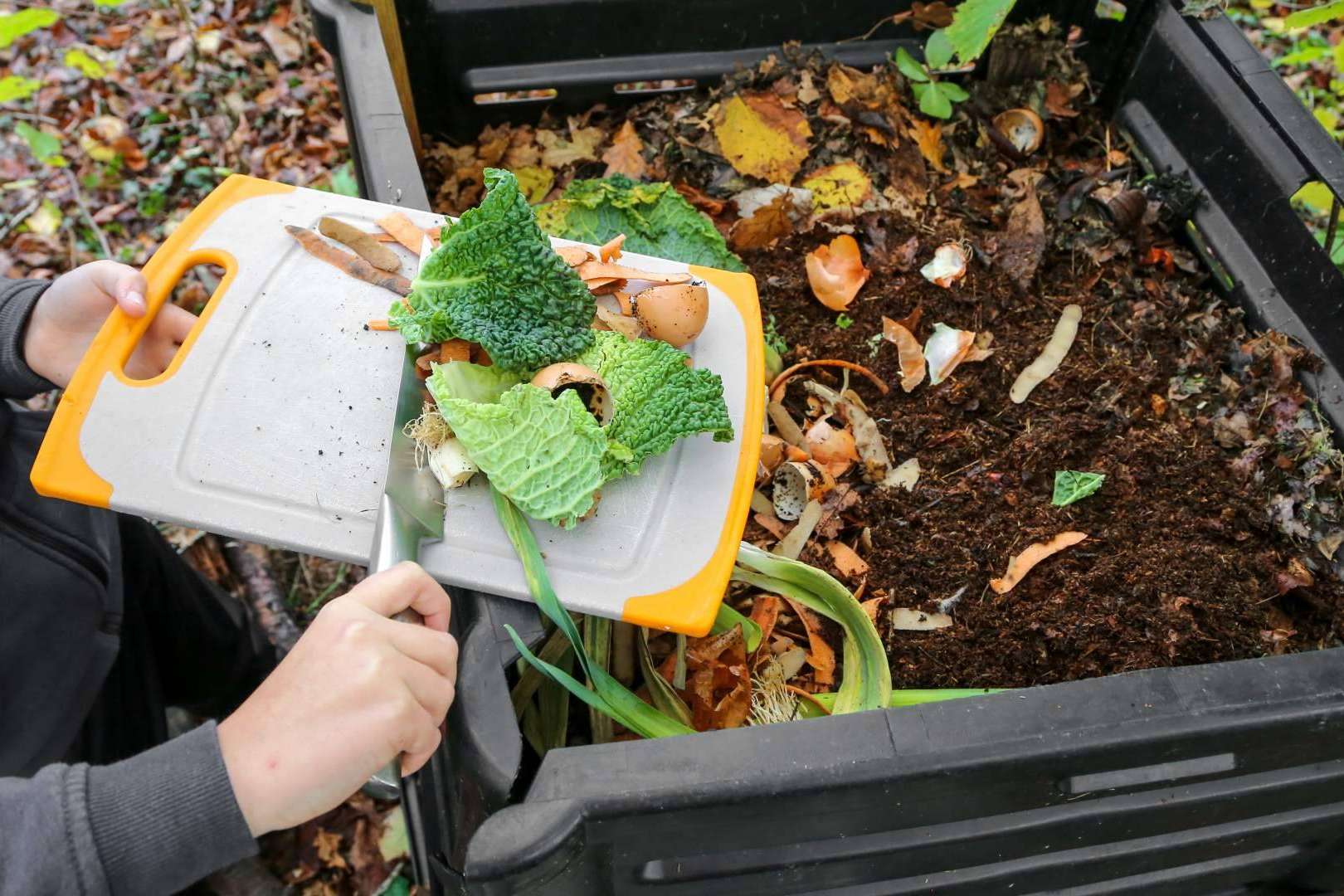 ¿Cómo ayudar al medioambiente desde el jardín del hogar?
