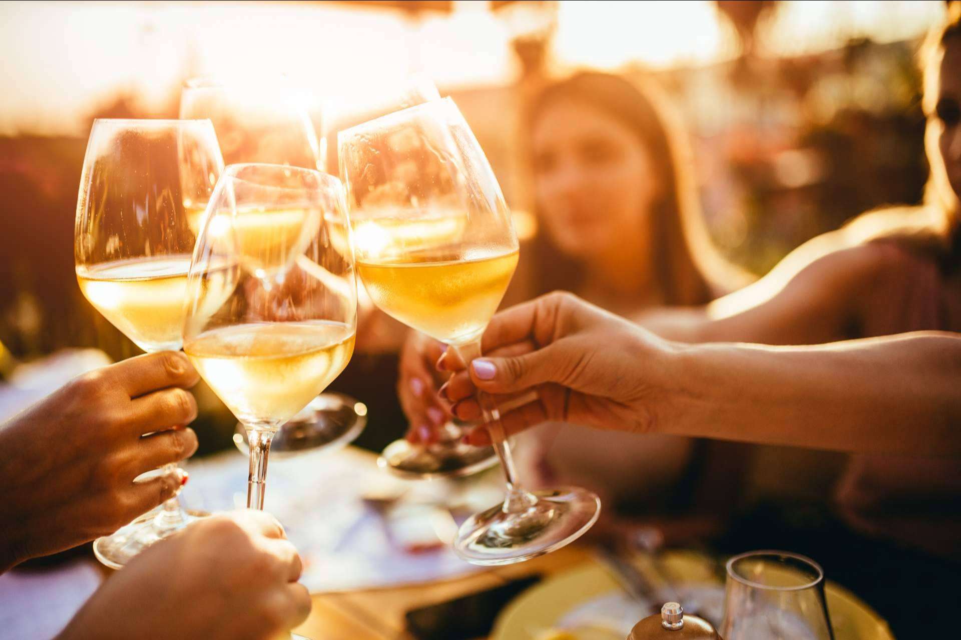 ¿Qué vinos son perfectos para maridar los platos en primavera?