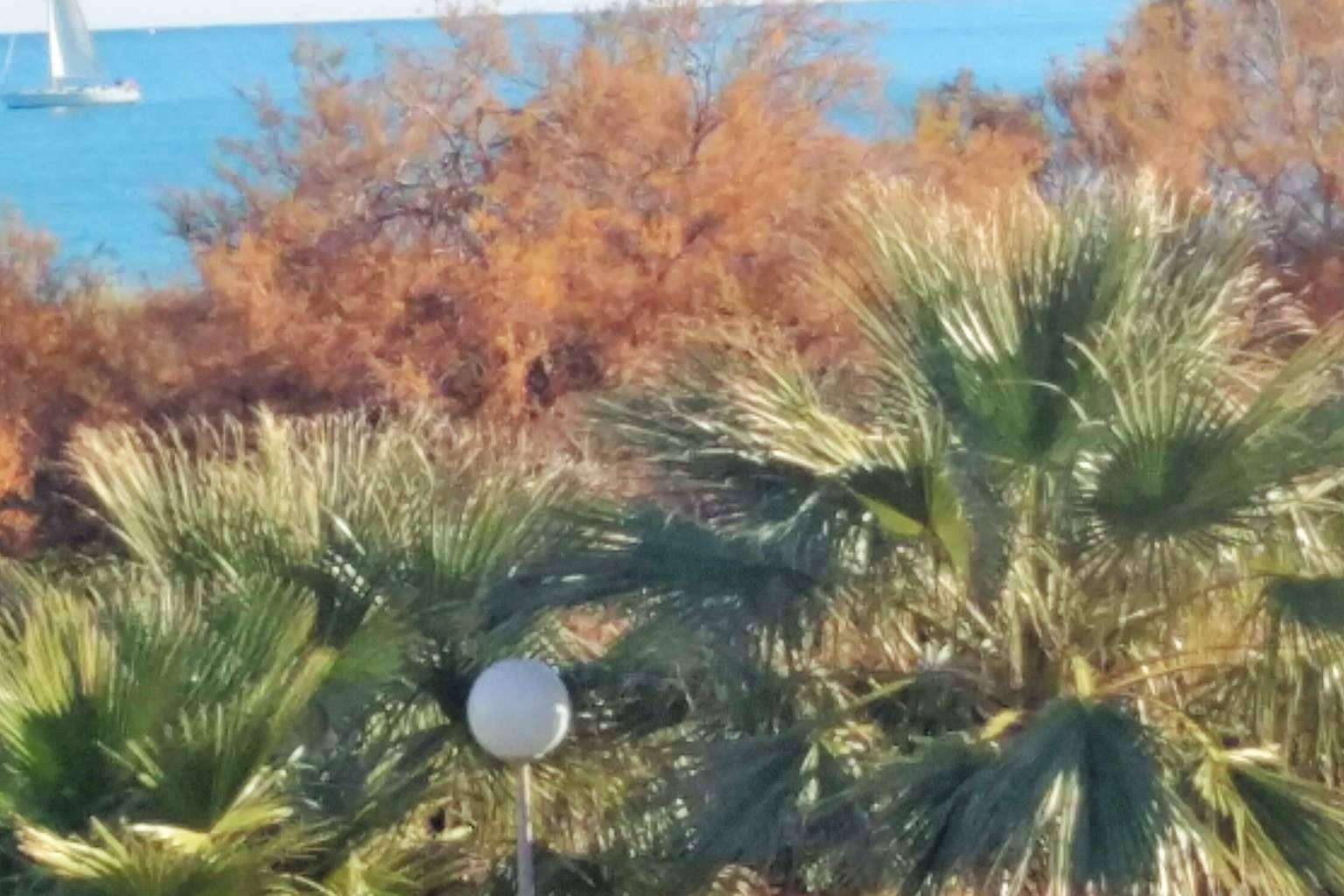 Adosado en playa de Oliva en Valencia, Residencial Olival