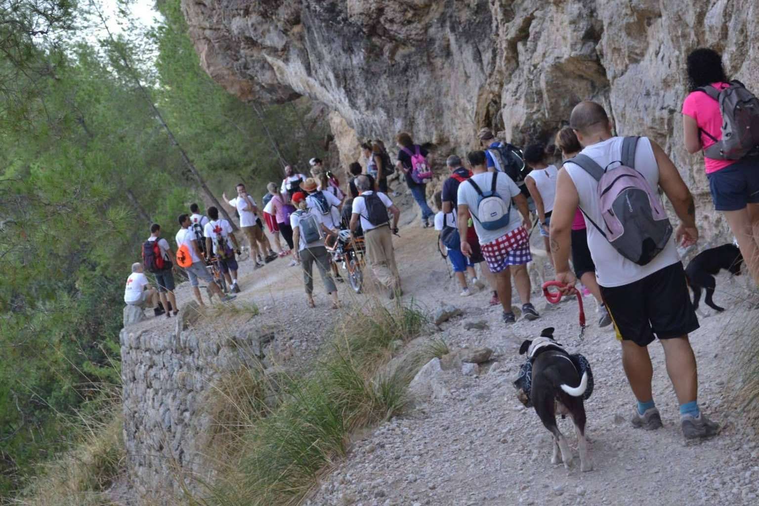 Adiestramiento canino, de la mano de la Asociación Española de Perros de Apoyo, para mejorar la relación entre perros y humanos