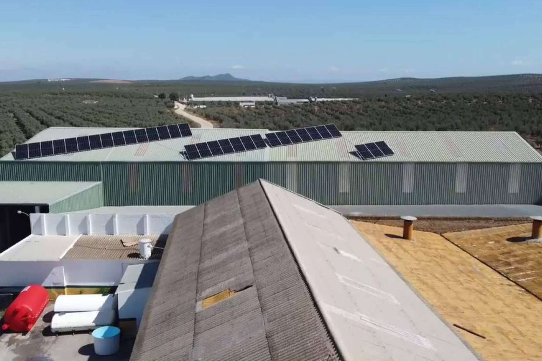 Energía de autoconsumo en empresas y sus beneficios de la mano de TodoAgrícola