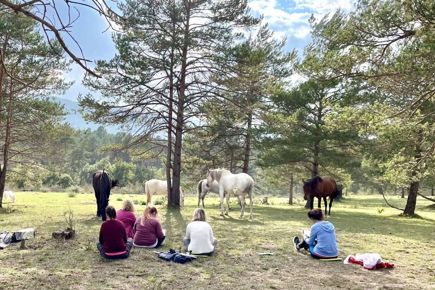 Una escuela de formación especializada en acompañamiento asistido con caballos en libertad, Aura