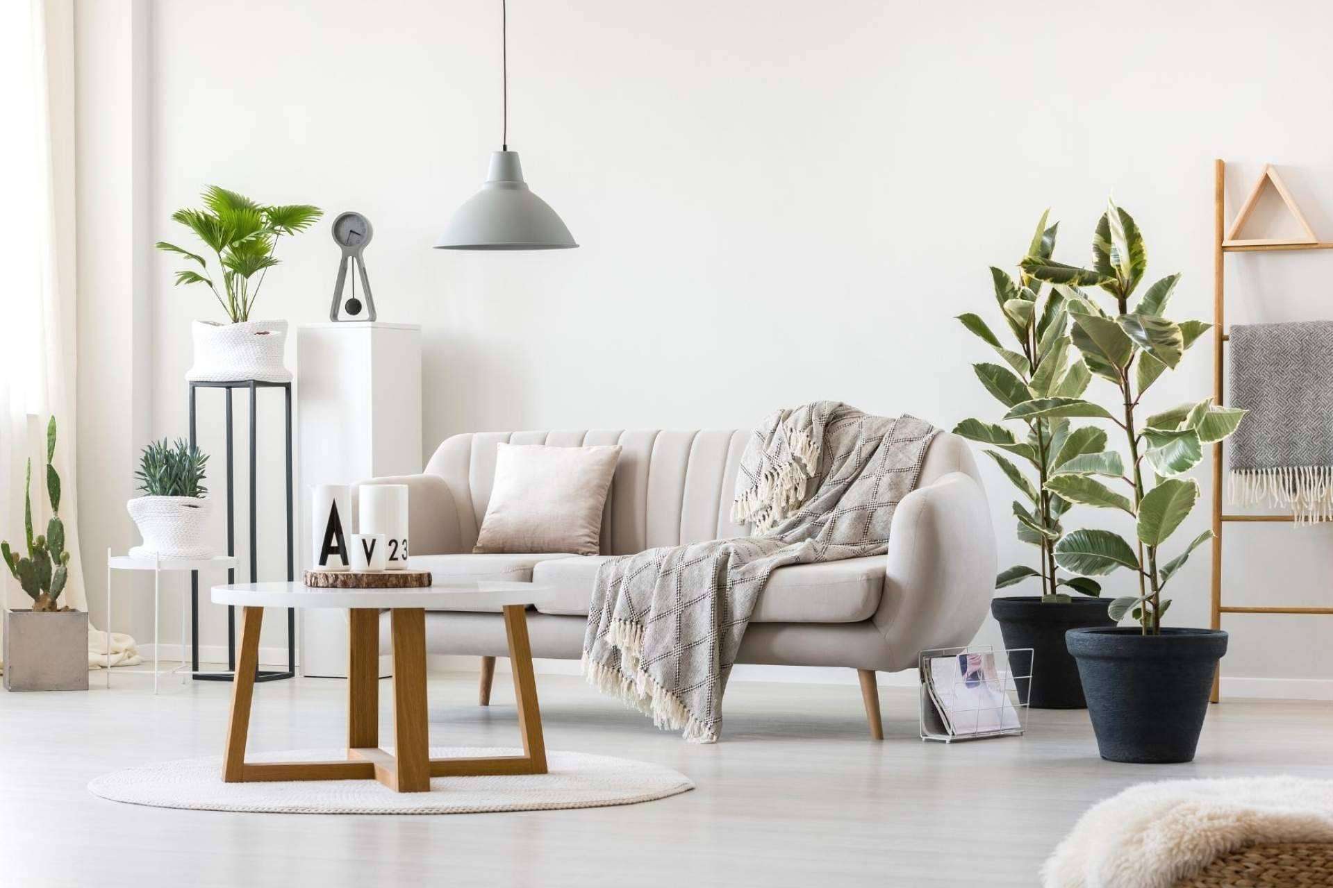 Iglú Tiendas cuenta con todo lo necesario para decorar el hogar con sus productos en tendencia