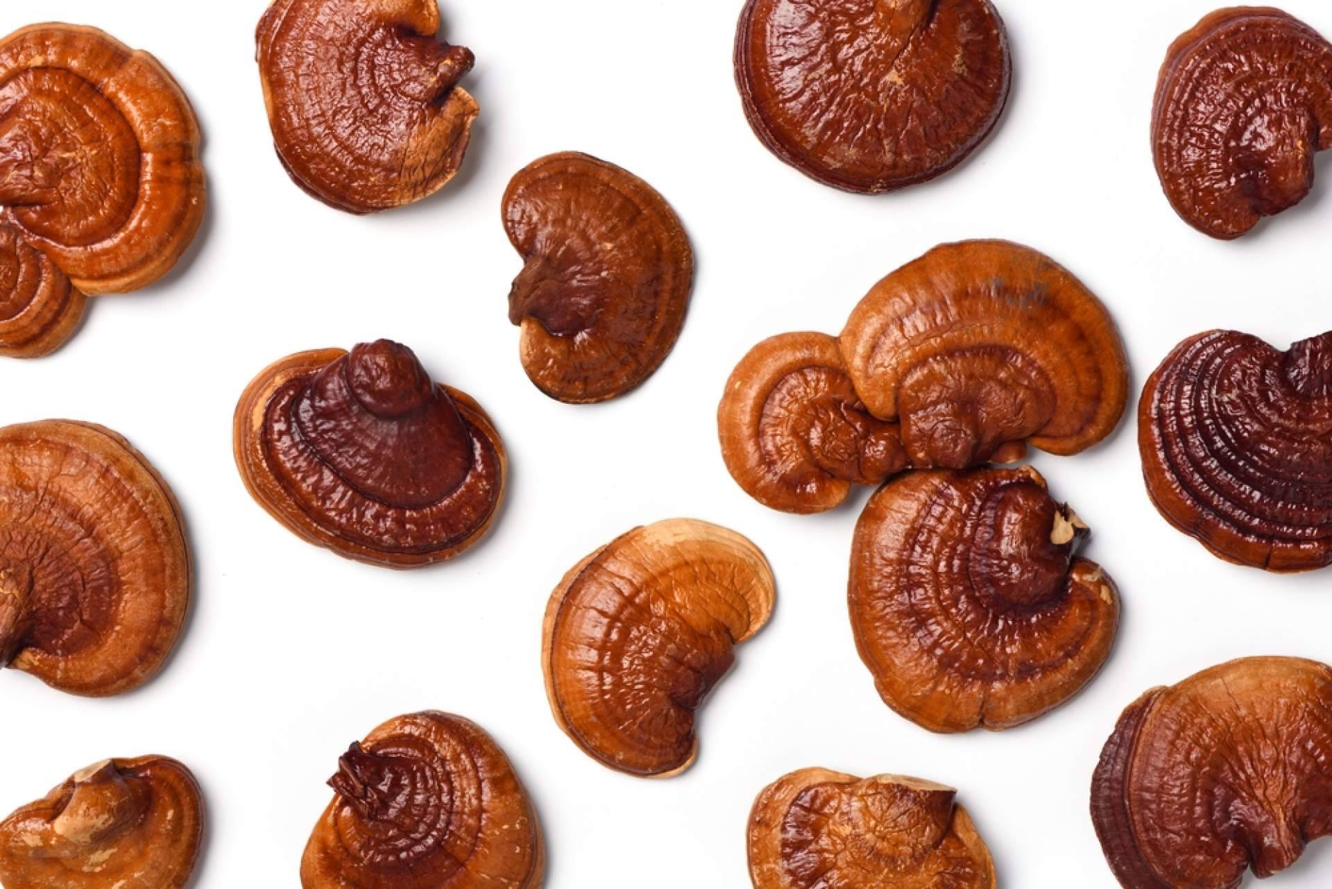 La combinación de café con ganoderma, por La Tienda De Cristóbal