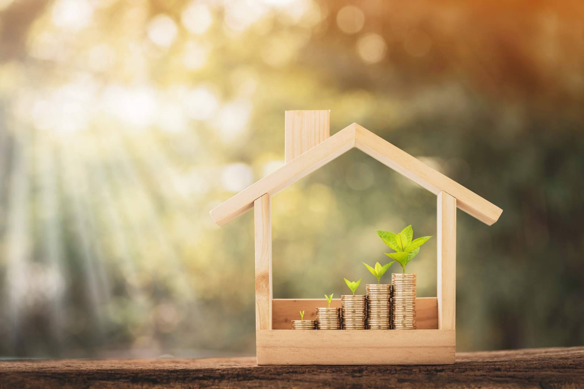 1001PORTALES.COM es una startup tecnológica de publicidad inmobiliaria