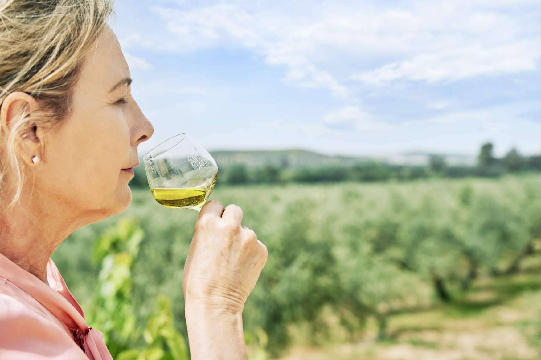 Calidad en aceites de oliva virgen extra de la mano de Aires de Jaén