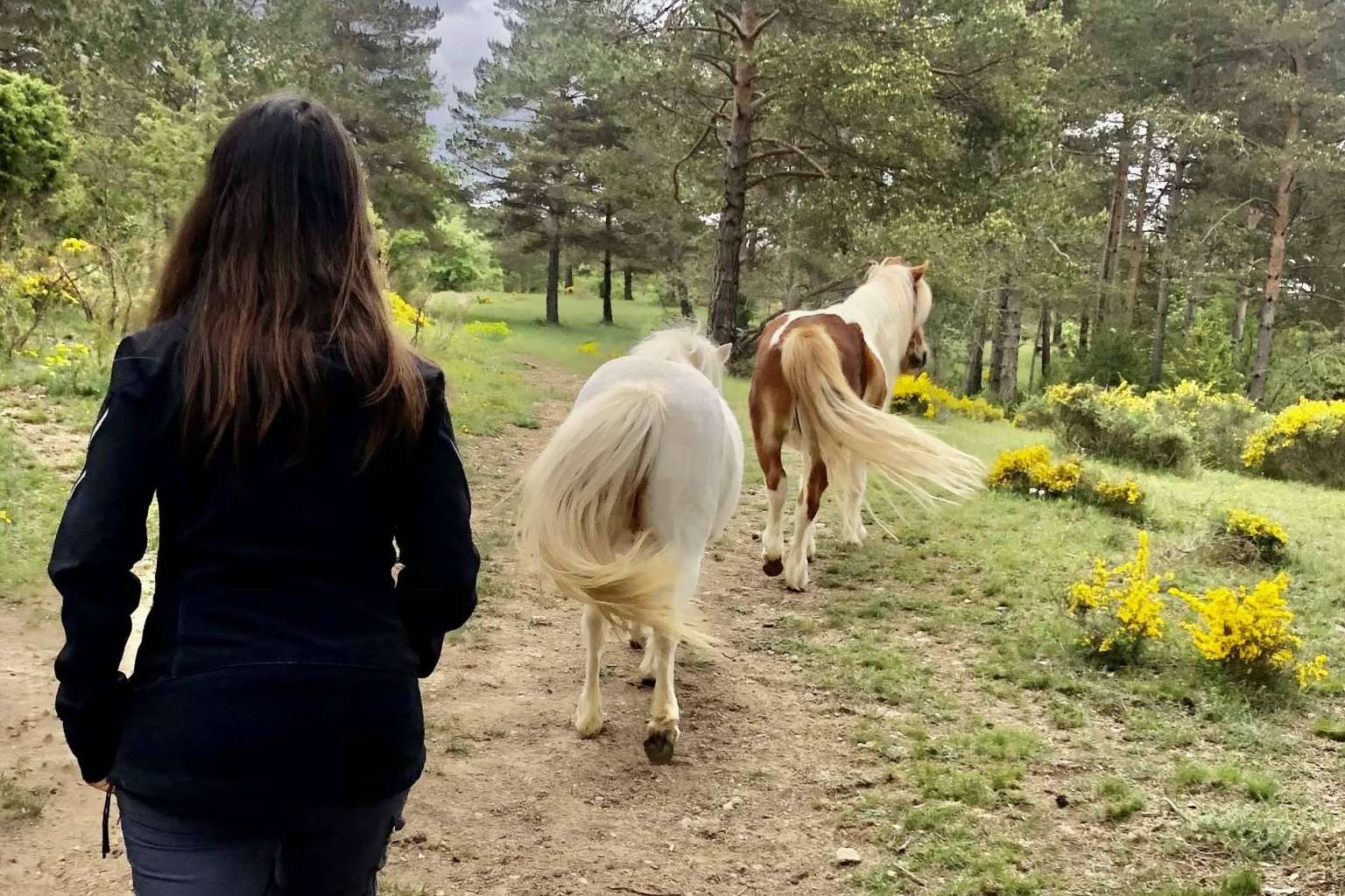 Aura, PNL asistida con caballos en libertad