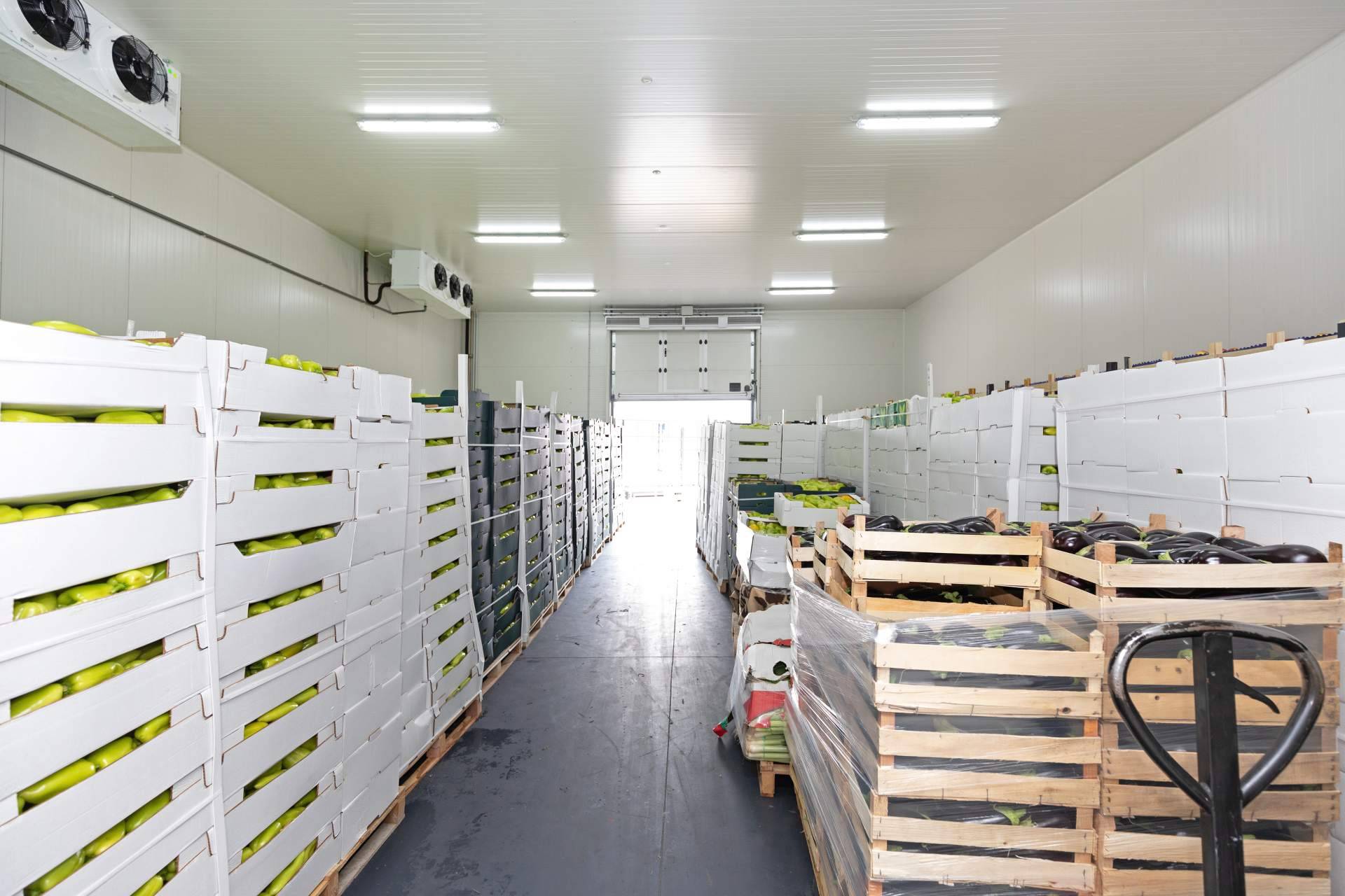 Conservar productos con frío industrial, de la mano de Grupo Alisios