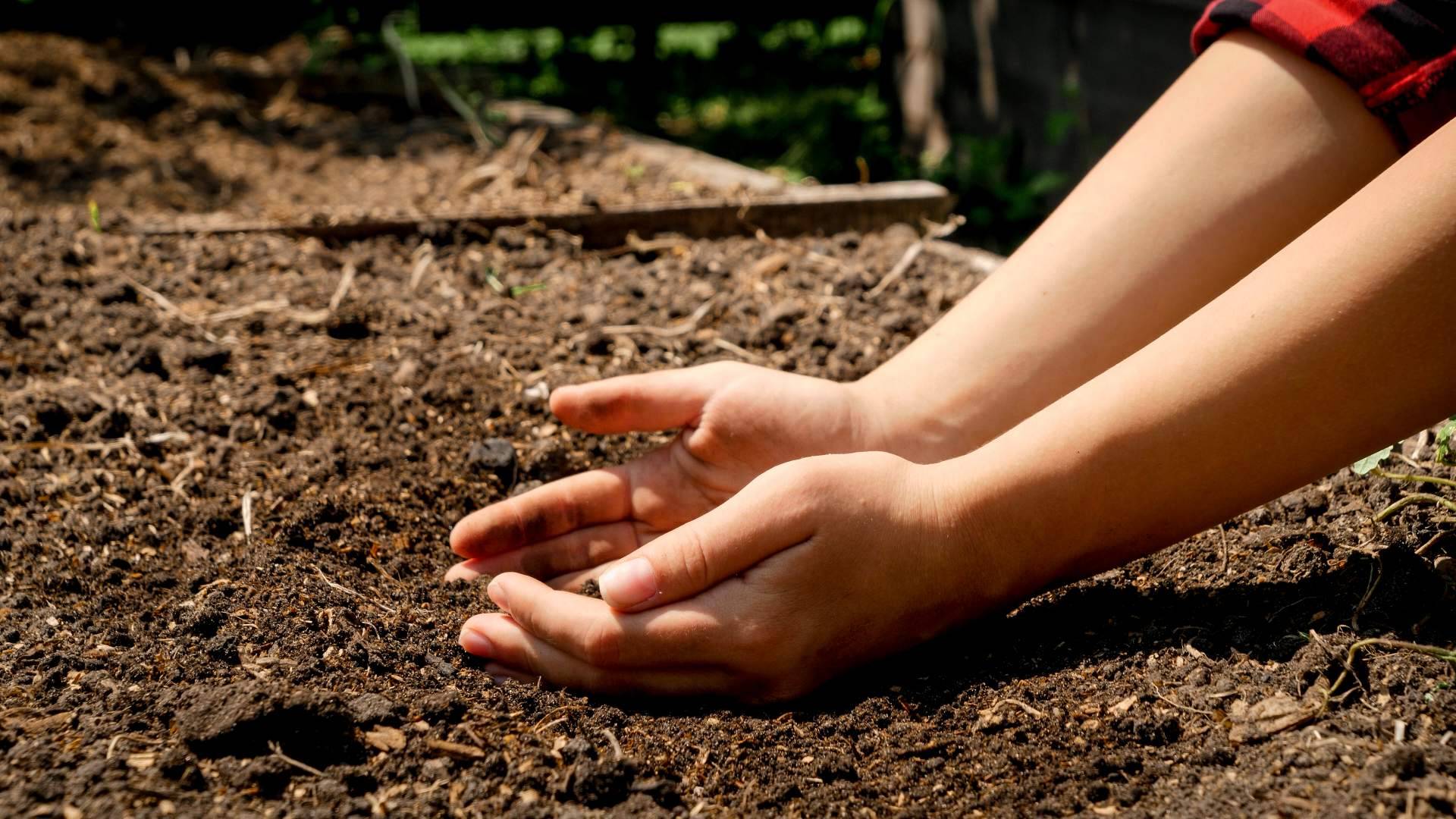 Cuidado medioambiental en la producción del suplemento JP Tró Extract