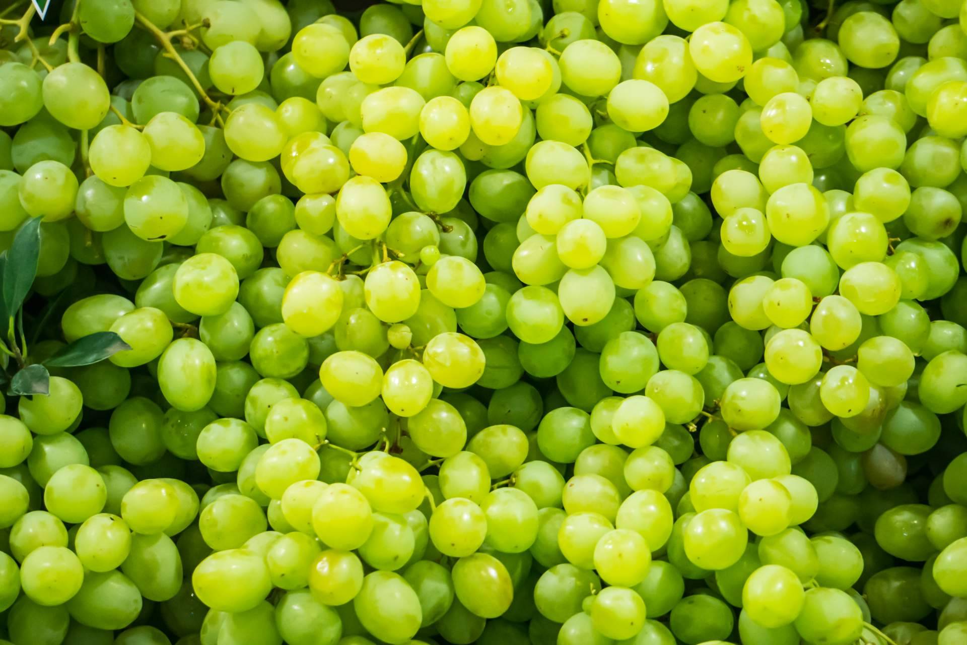 Baor Products realiza procesos de concentrado de uva para diferentes industrias