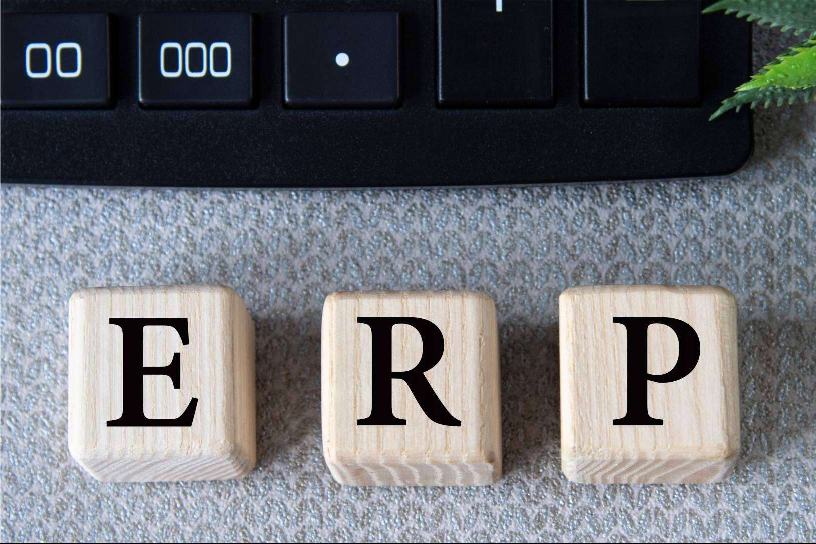 Importancia de contar con expertos para la realización de un ERP y CRM