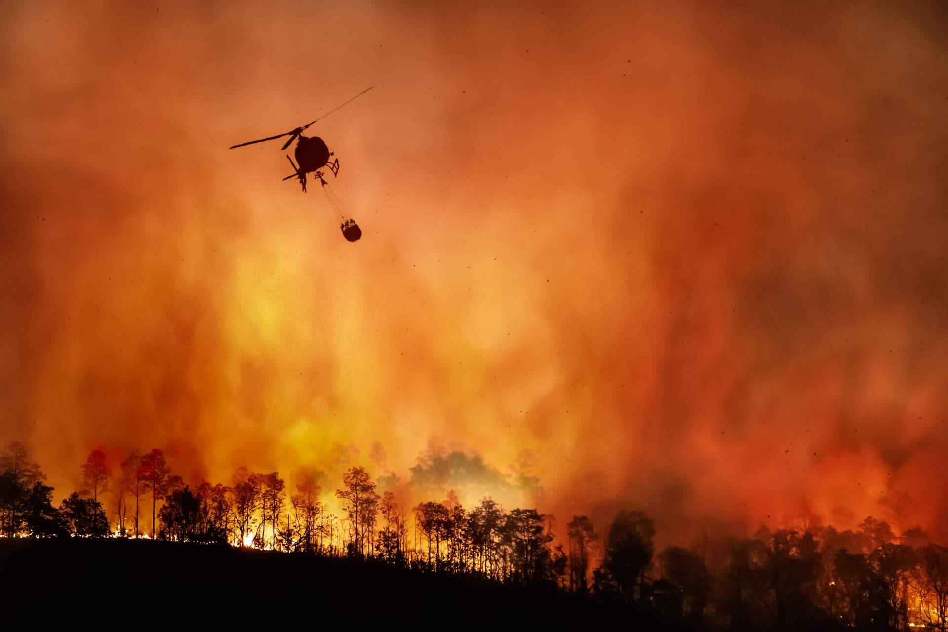 #SoydeMijas plantea soluciones para prevenir los incendios forestales en Mijas