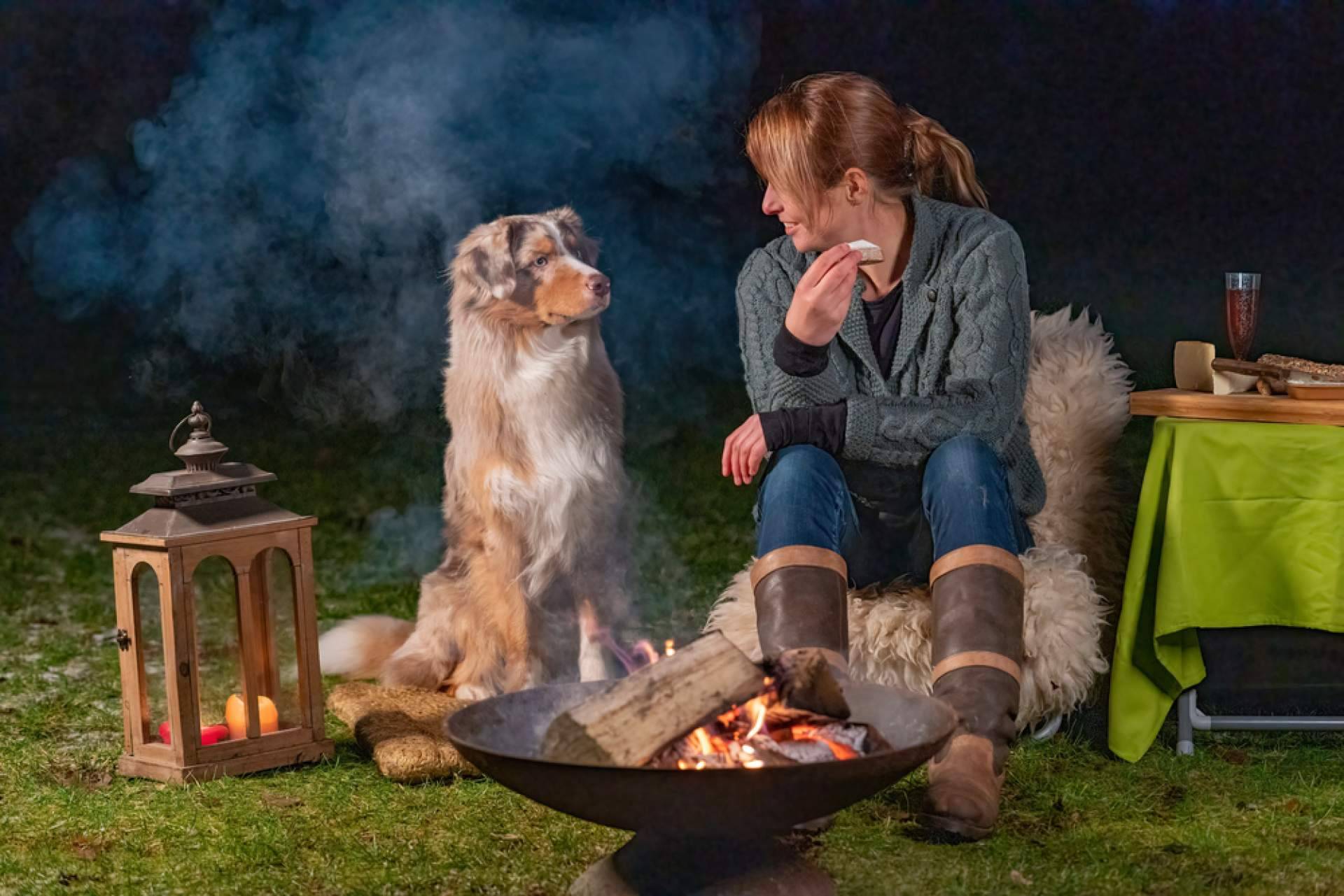 Diferencias entre adoptar y comprar perros, con Cachorros del Valle