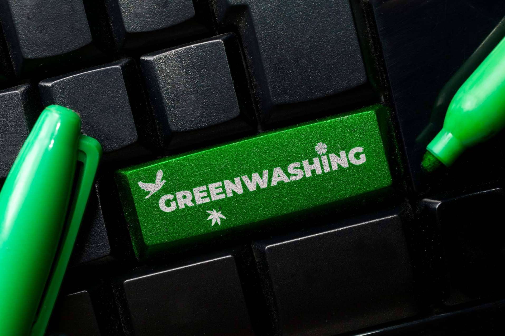 DoGood explica cómo combatir el greenwashing