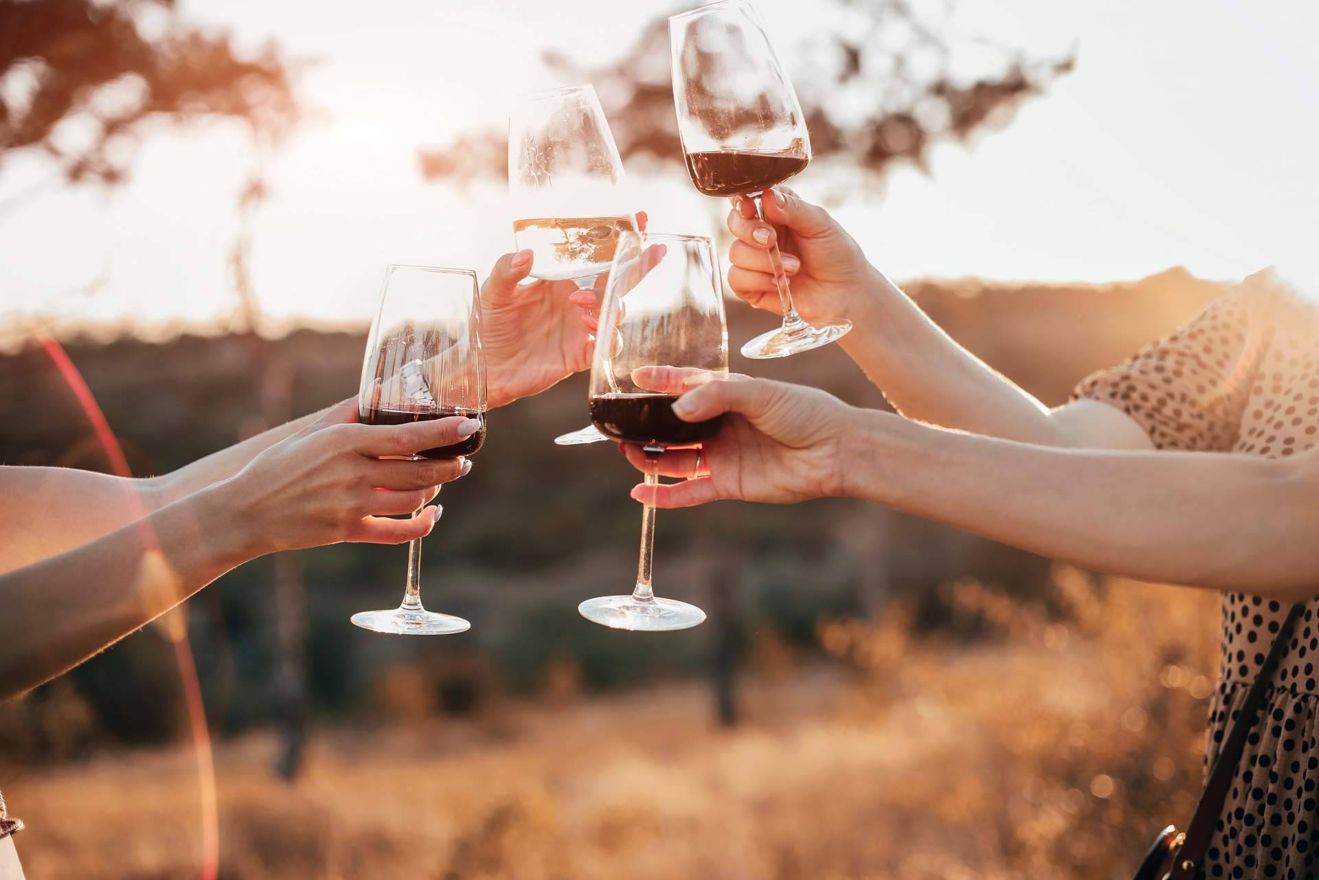Los distintos factores que influyen en el precio del vino tinto de Vinoenbox.com