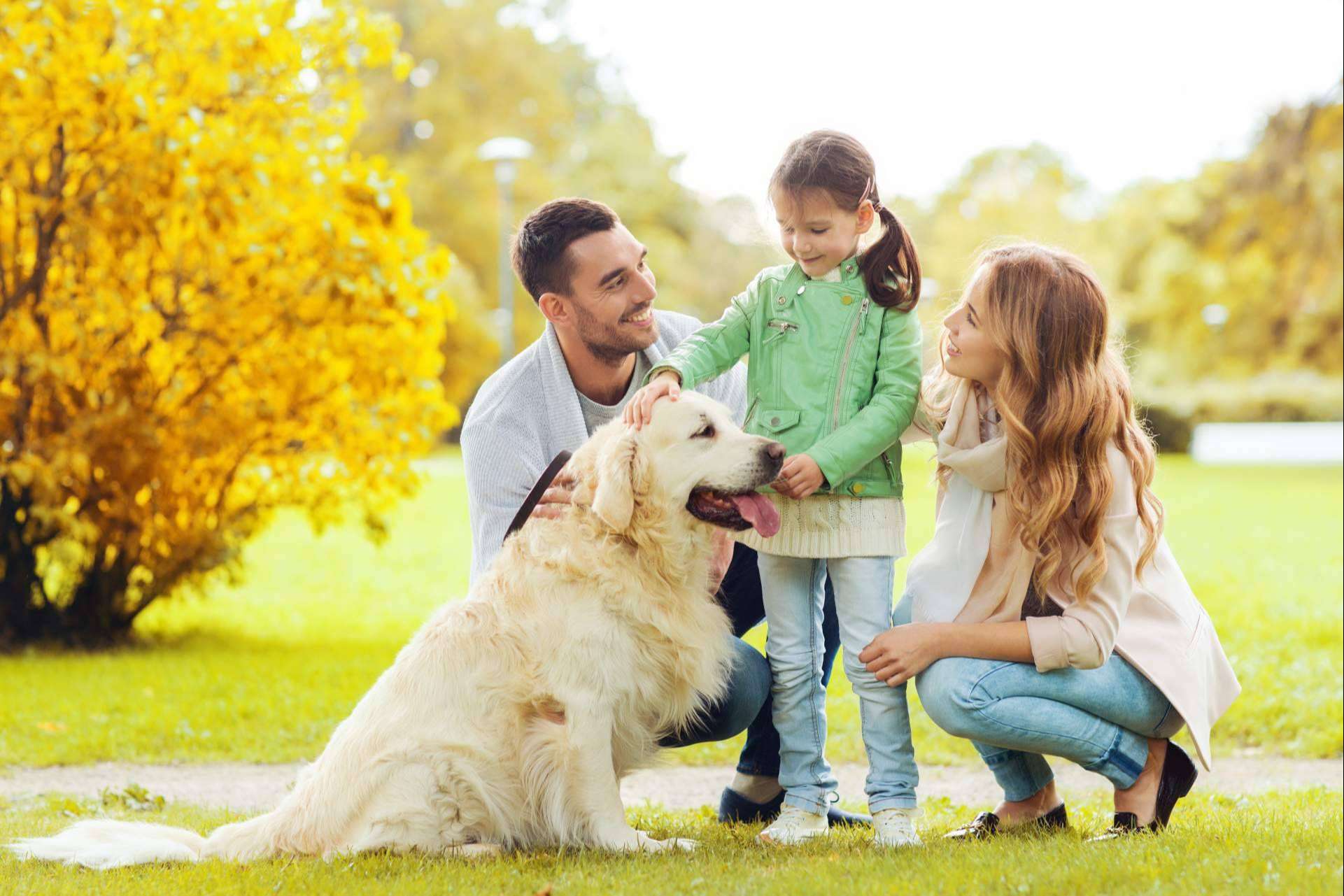 Barkibu presenta los seguros de mascotas para perros y gatos