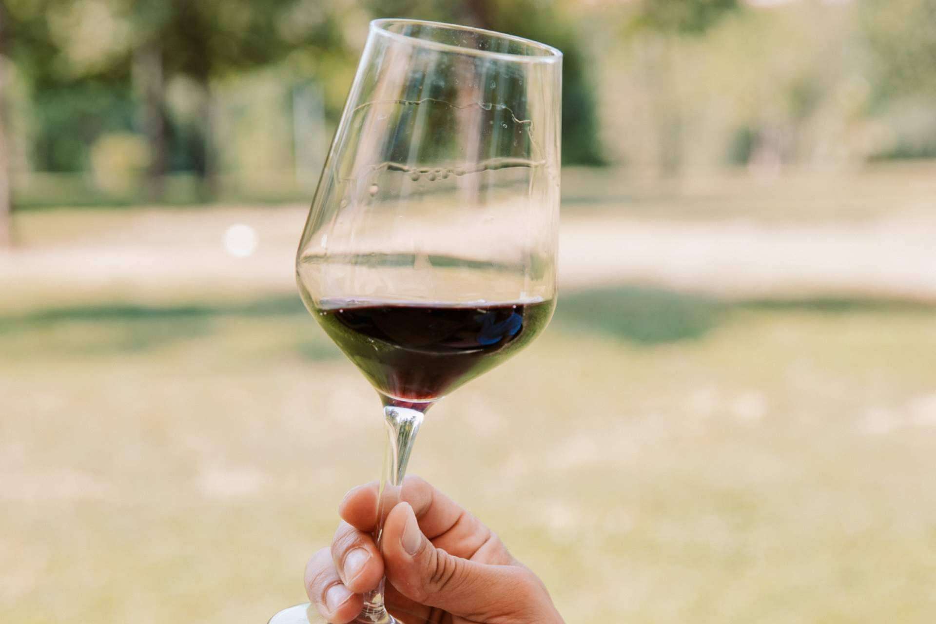¿Dónde y por qué comprar Bag in Box de vino en Vinoenbox.com?