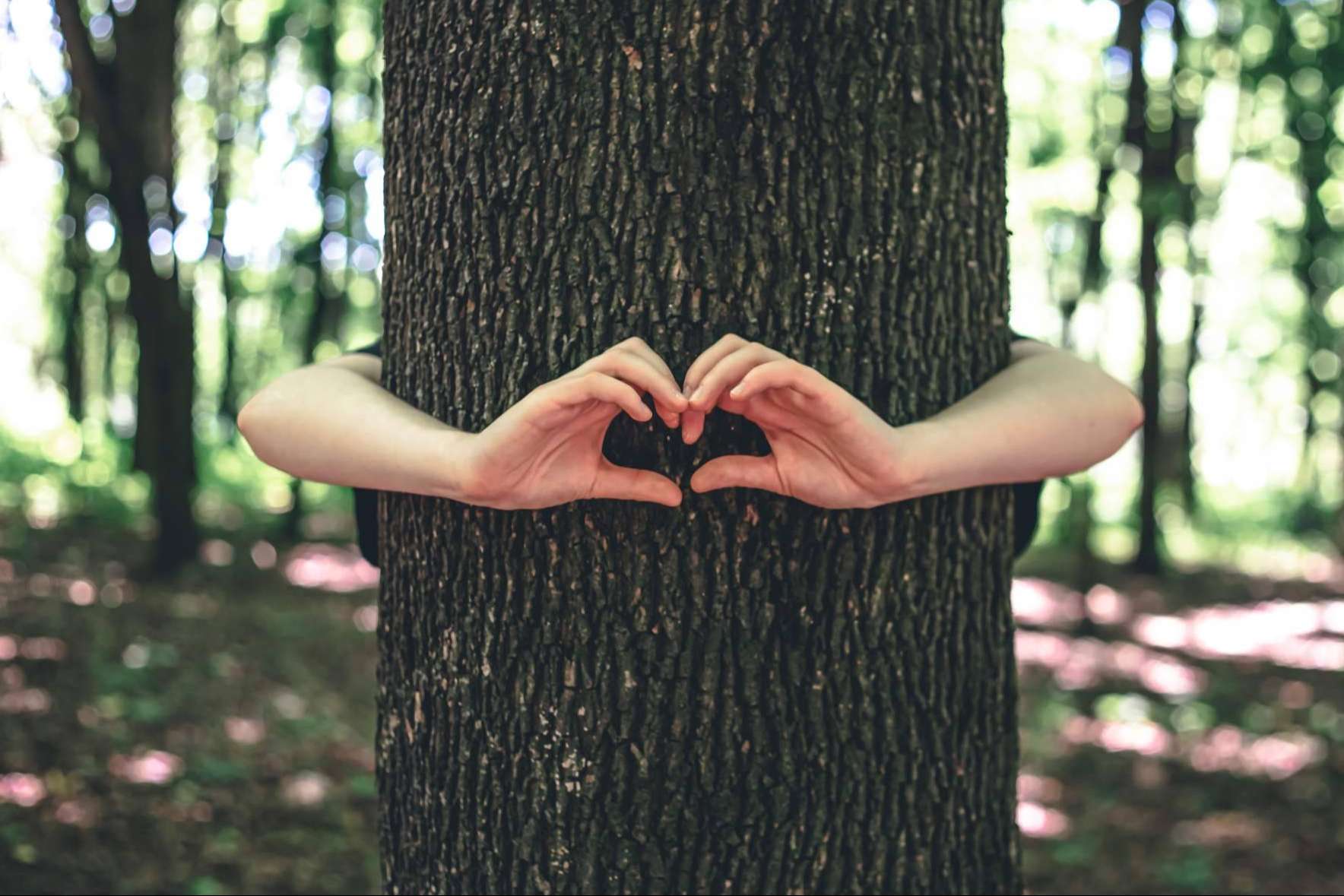 El marketing emocional de Marcas que Enamoran que permite lograr los Objetivos de Desarrollo Sostenible ODS
