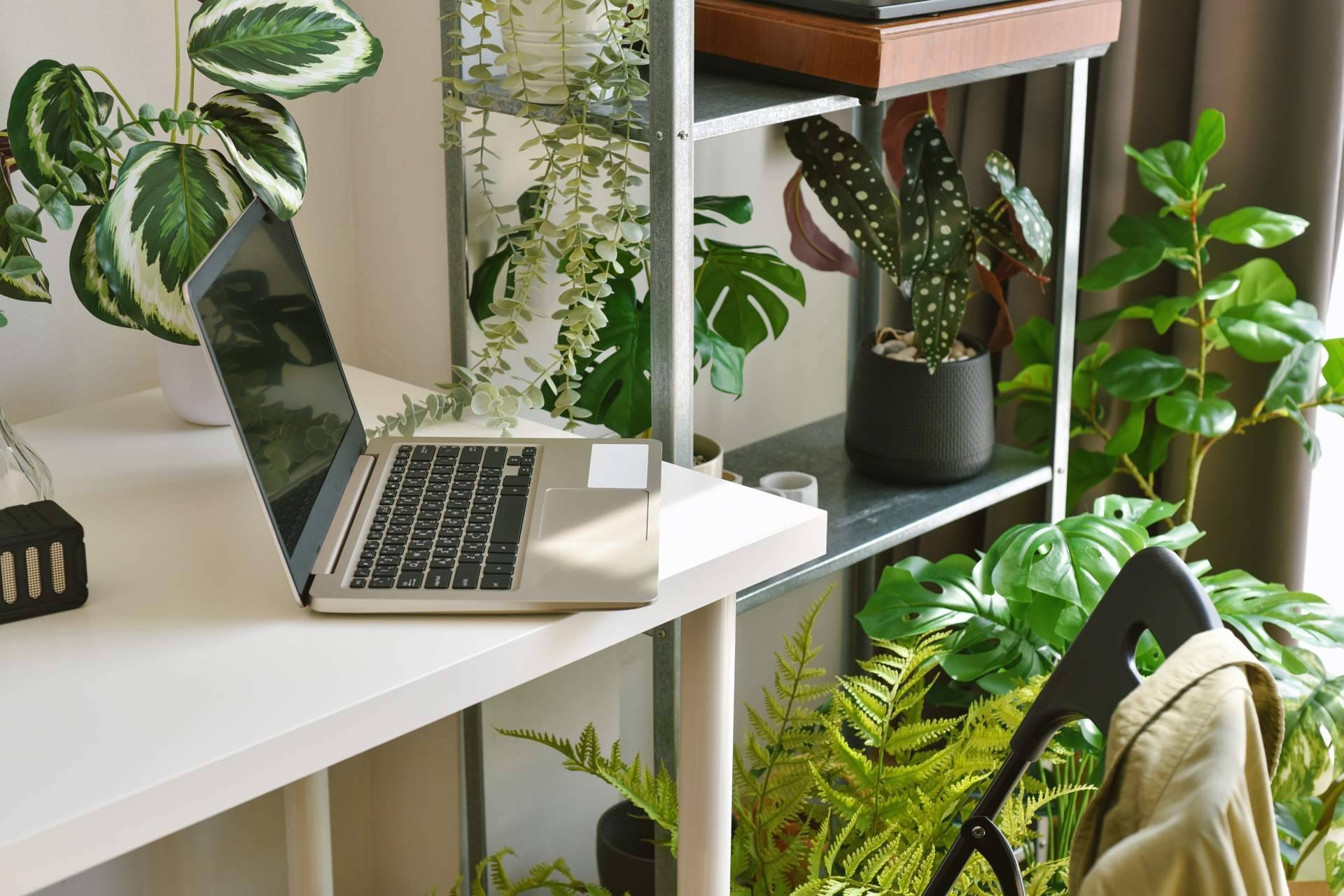 Cómo combinar plantas artificiales para dar un toque especial a cualquier espacio