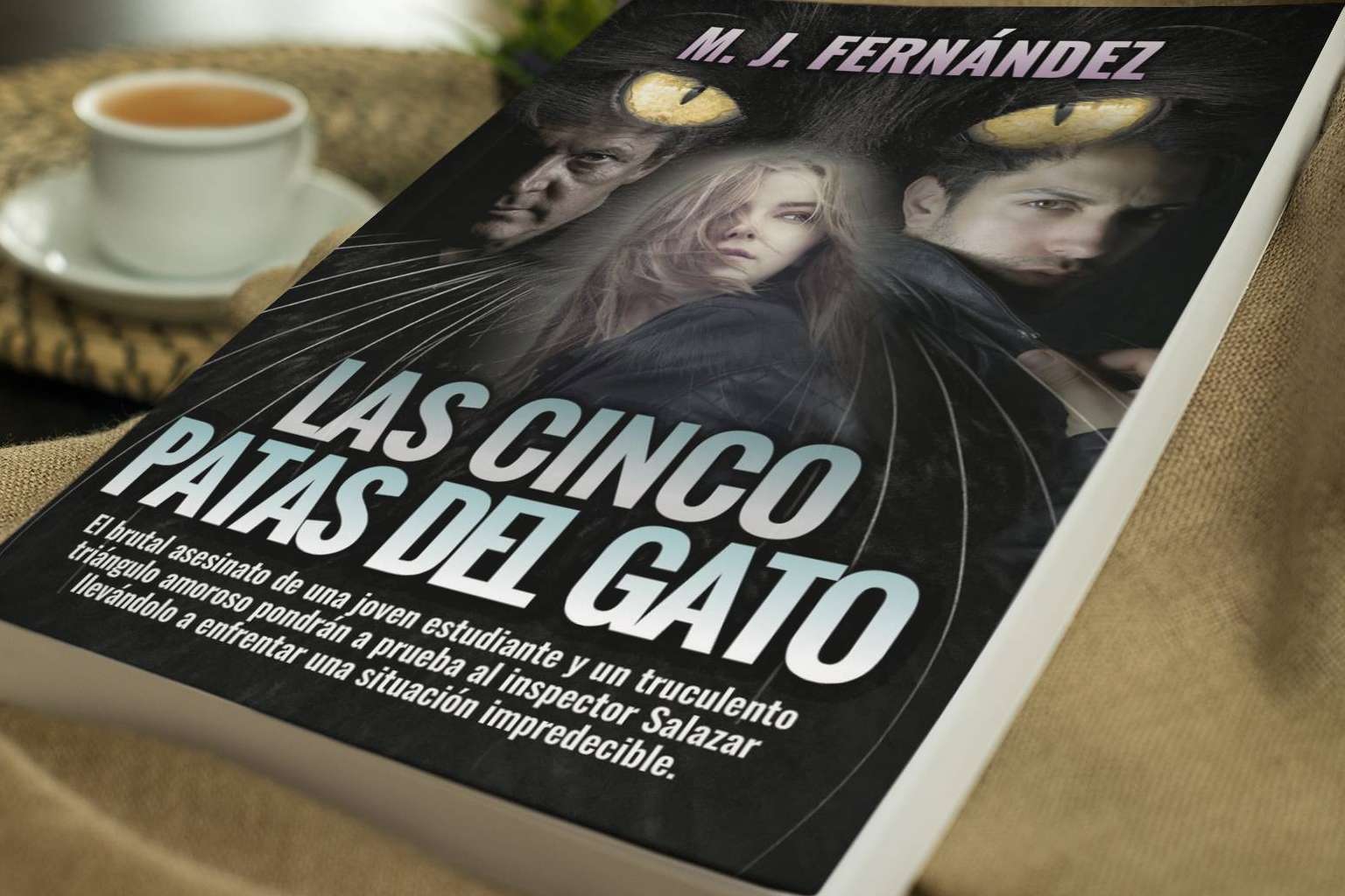 La serie del inspector Salazar, una novela negra de la autora española M. J. Fernández