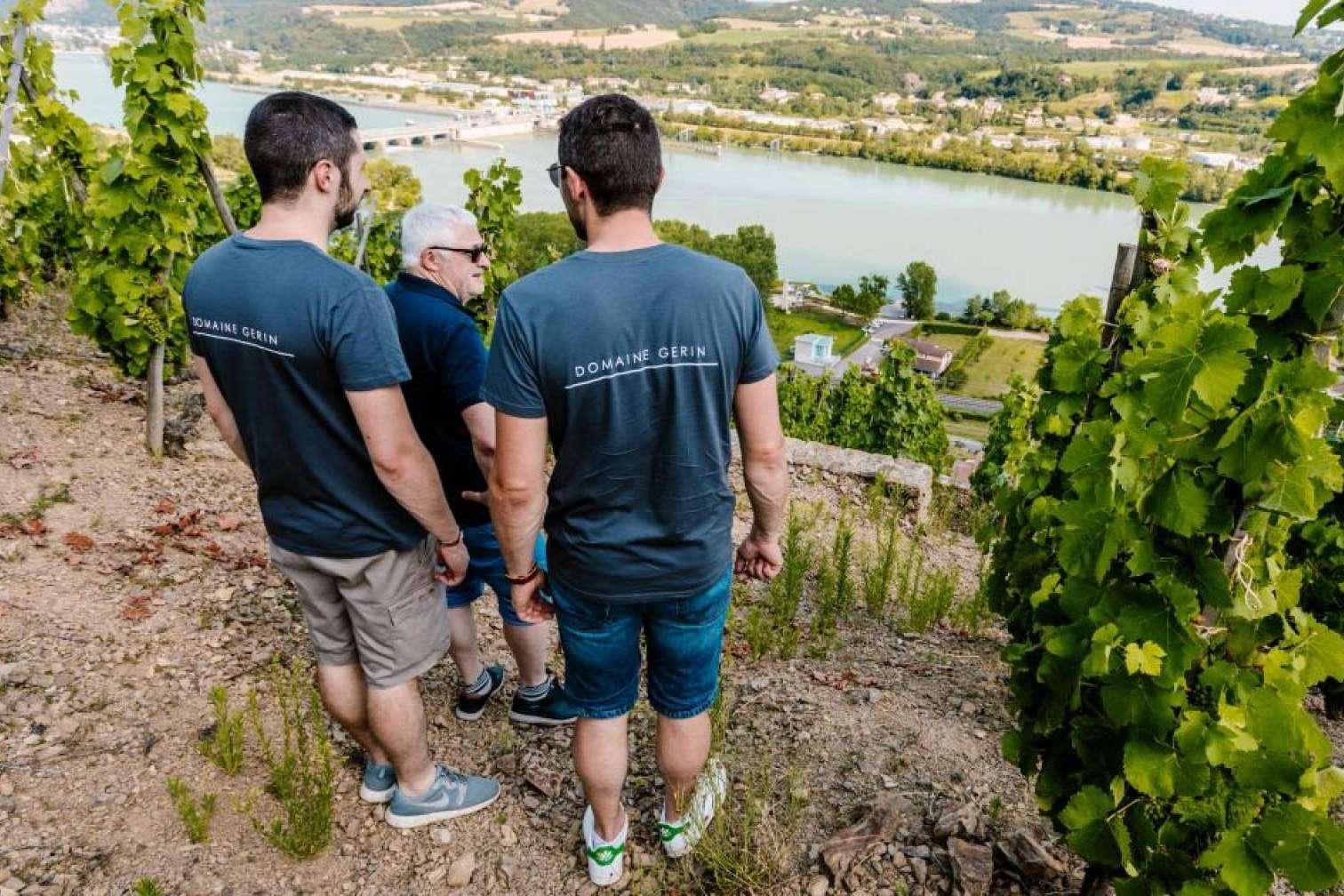 La Tintorería es una de las vinotecas españolas con más vinos únicos