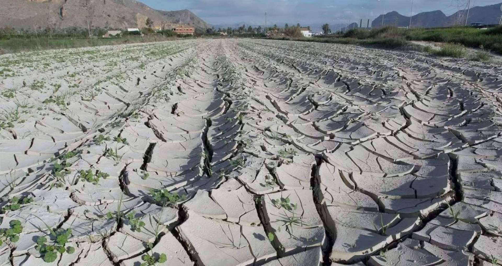 La falta de agua provoca la llegada de conflictos