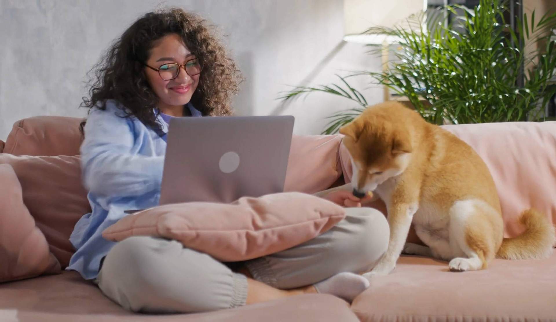 'Buscamos una agencia de marketing completa y con experiencia, y la encontramos', asegura Wolves Legacy