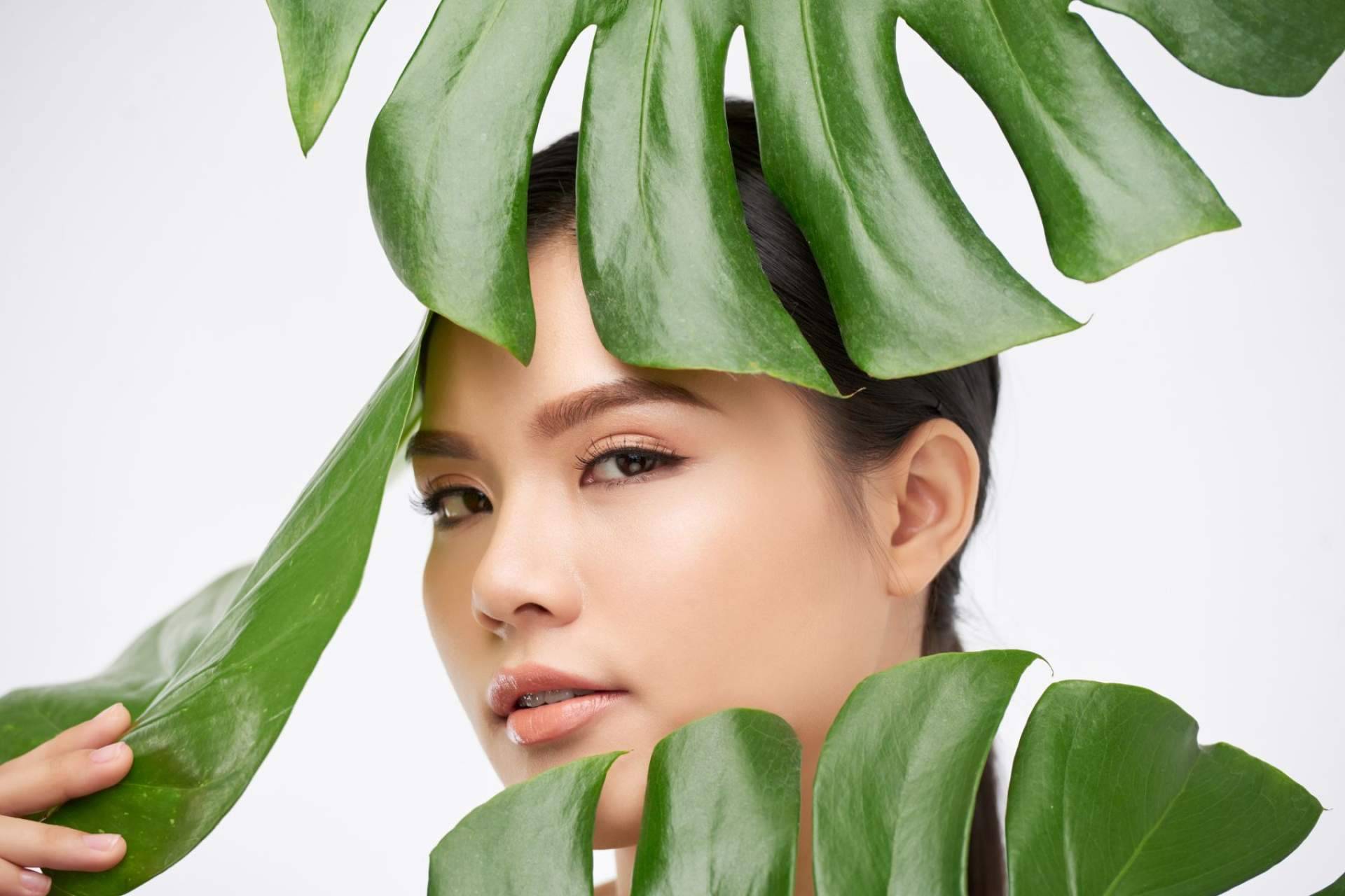 Una tienda online de cosmética natural especializada en el aloe vera, Cosmonatura