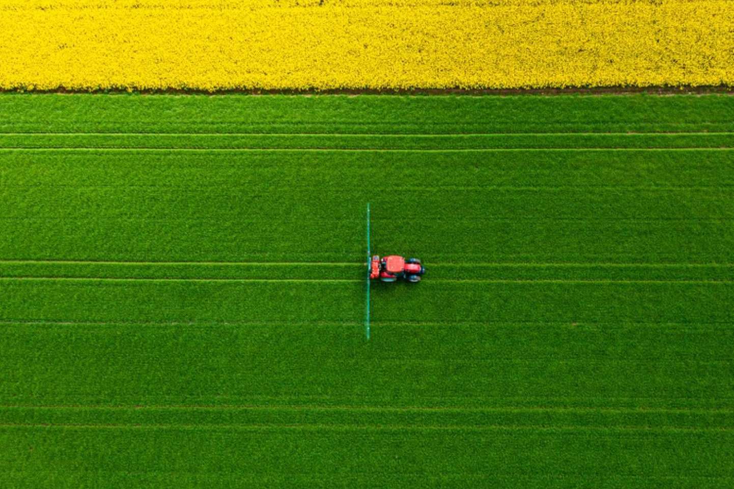 Grupo Seguros Generales ayuda a escoger el seguro de tractor adecuado según cada necesidad