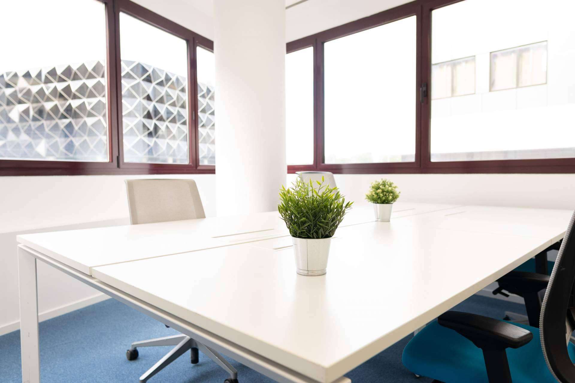 MyCoworking Las Tablas, el servicio de coworking con un concepto actualizado