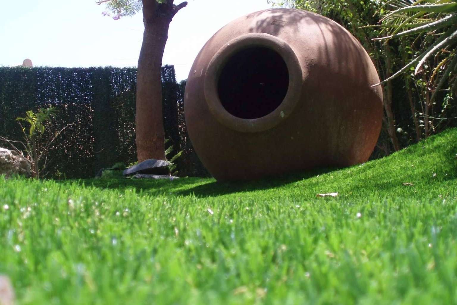 Los productores y fabricantes de césped artificial de Albergrass