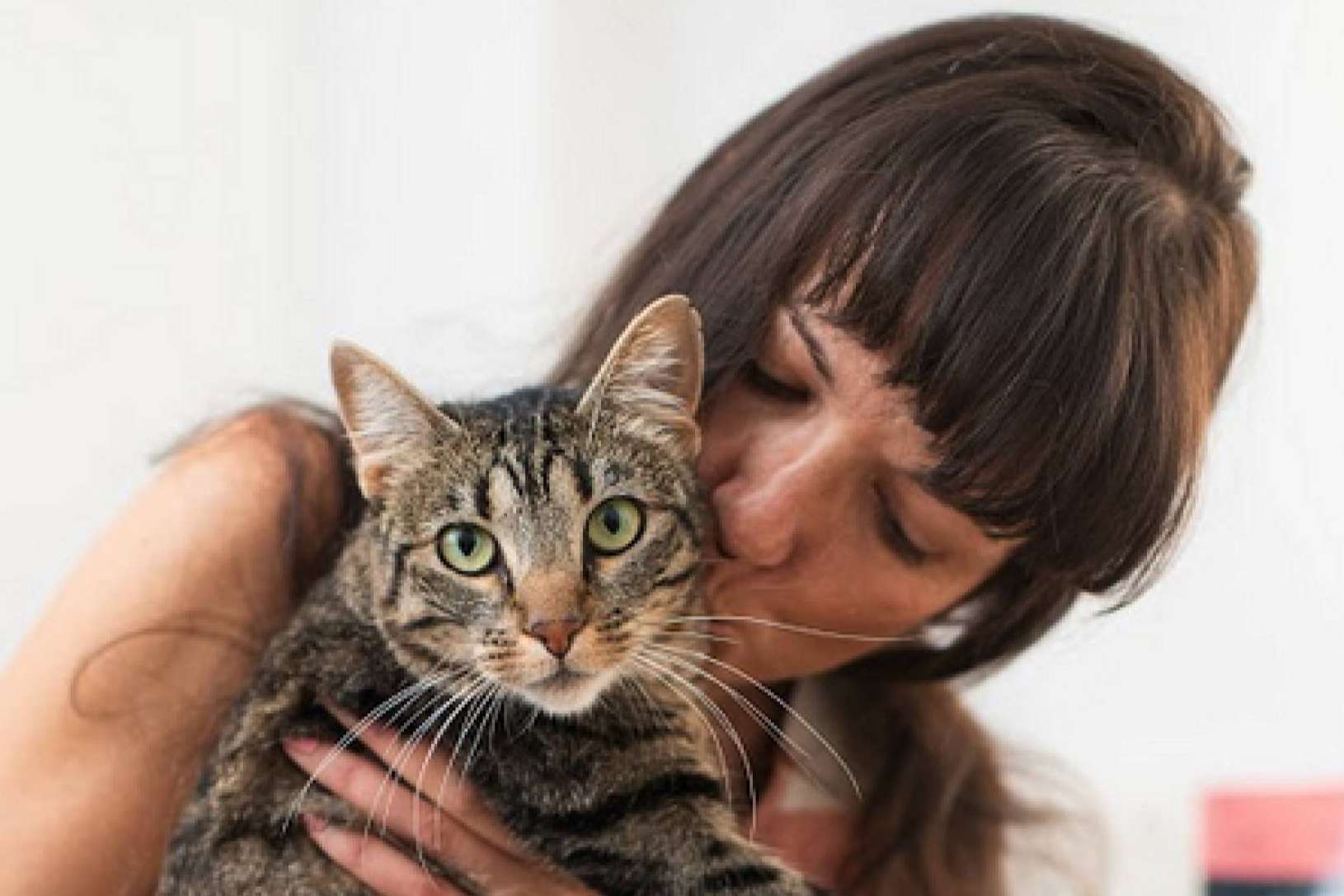 Alimento hipoalergénico, sin gluten y ecológico para mascotas, por Ginqo