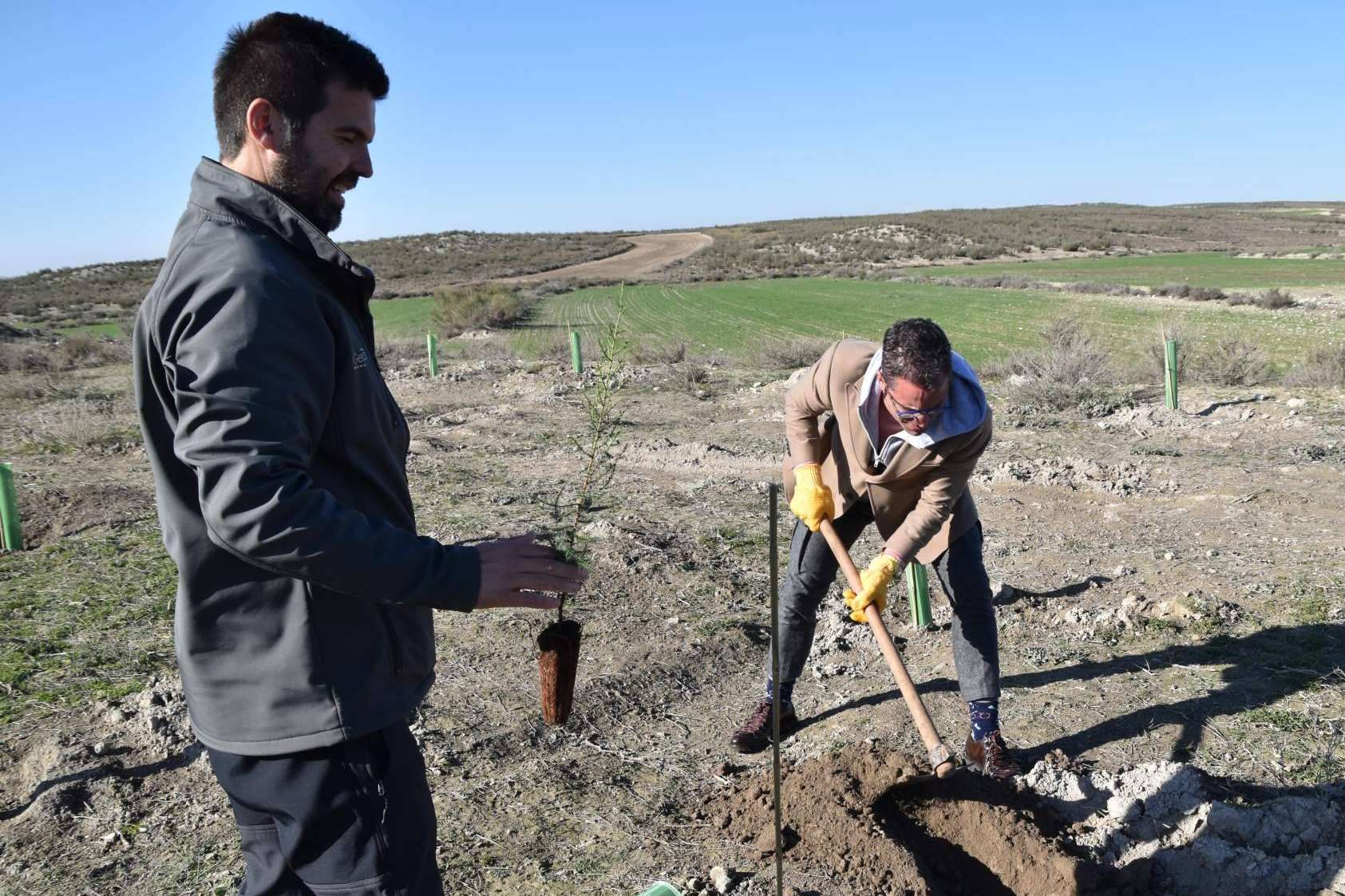 Referentes nacionales en la creación de bosques sostenibles, las grandes marcas combaten el cambio climático, por CO2 GESTIÓN