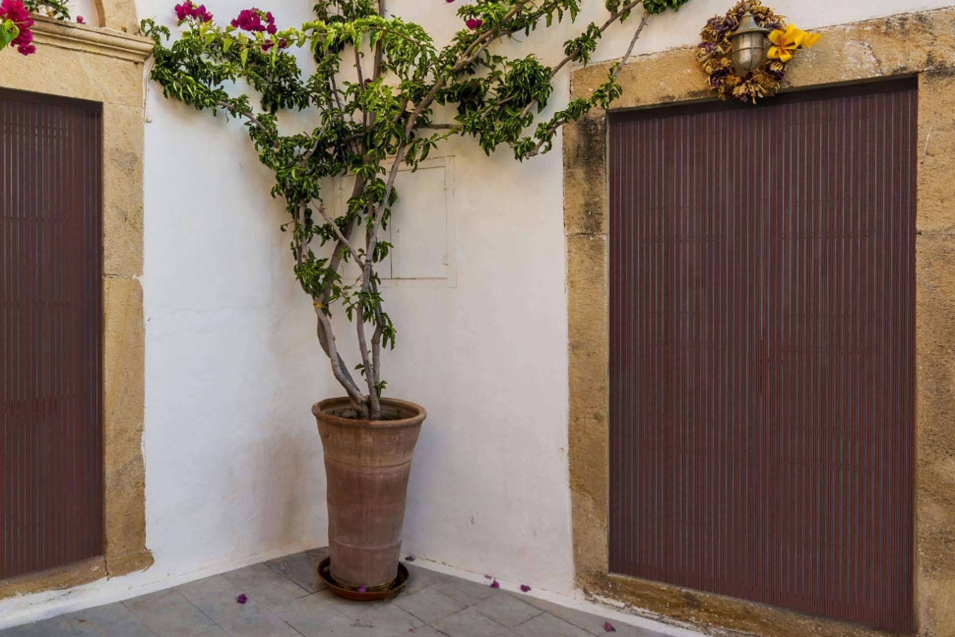 La solución decorativa y económica que ofrece Mosquiteras Baratas para impedir la entrada de insectos, las cortinas antimoscas