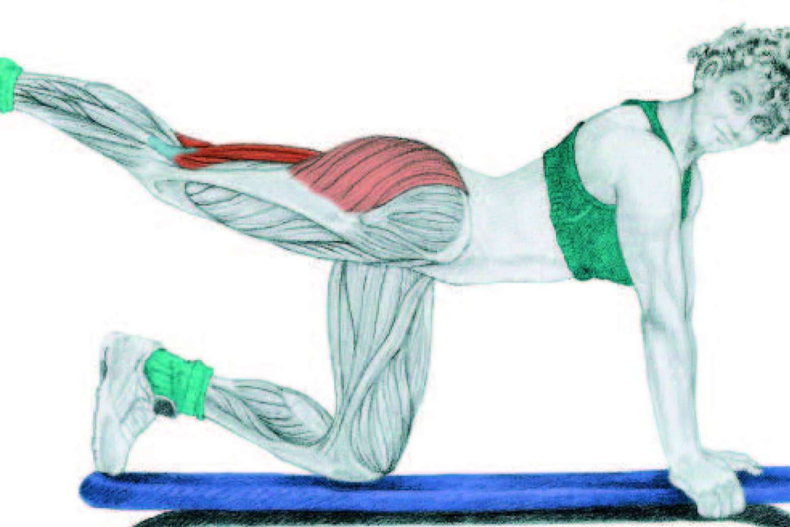 Manual de Entrenamiento GAP; Glúteos, Abdomen, Piernas de Óscar Morán