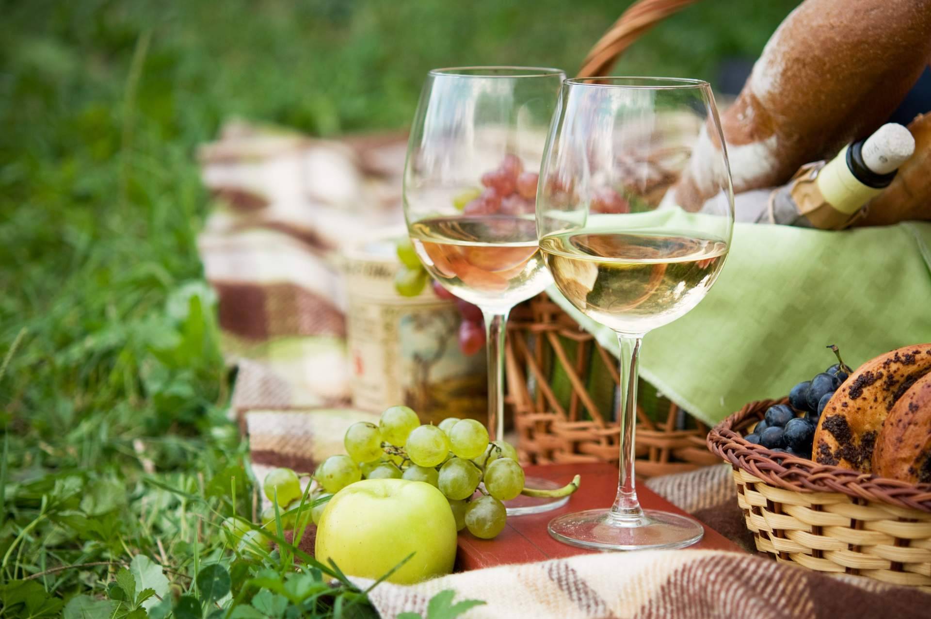 Los vinos ecológicos de La Tintorería Vinoteca