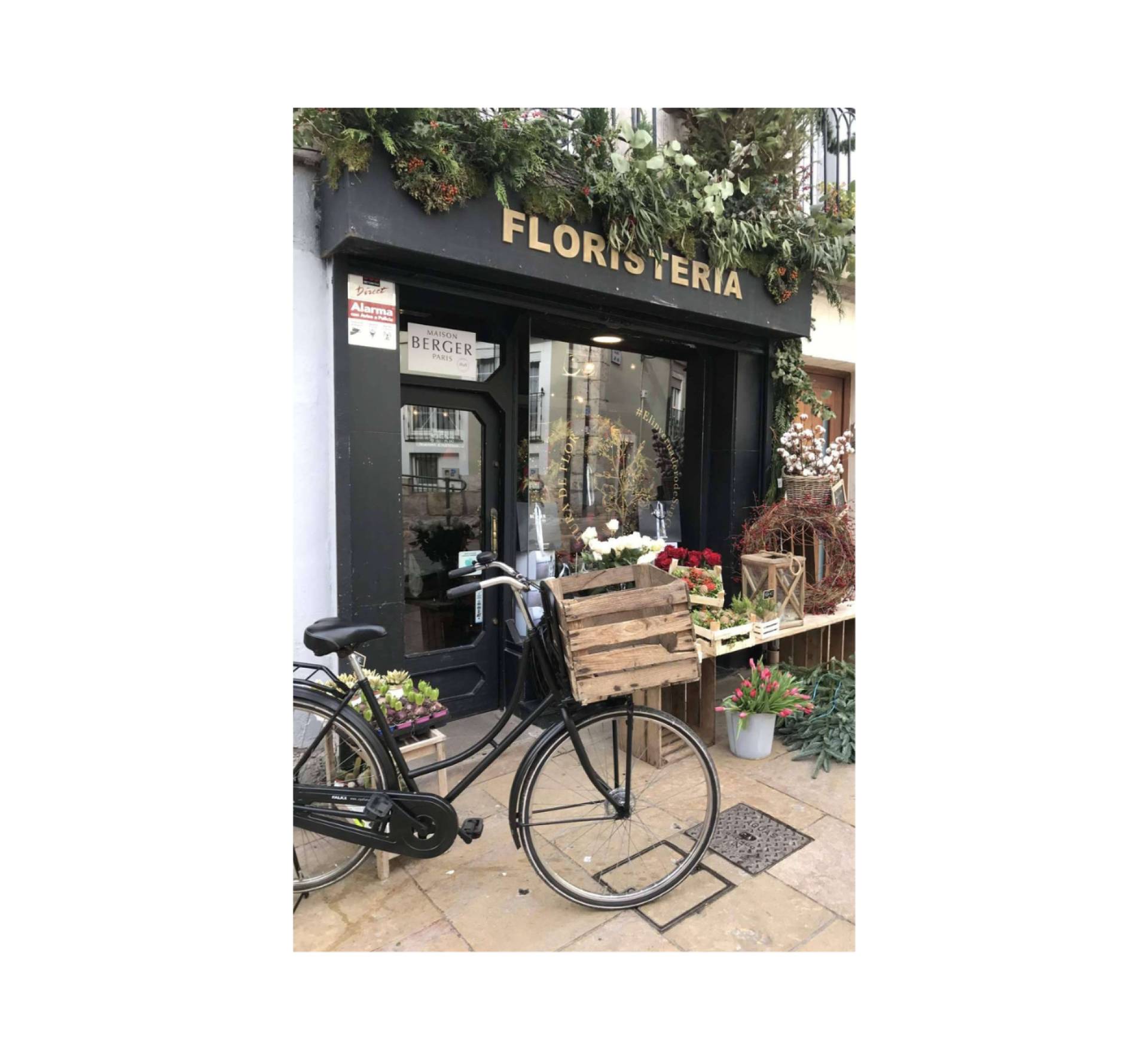 Bicis holandesas de segunda mano con ¡Quiero una bici!