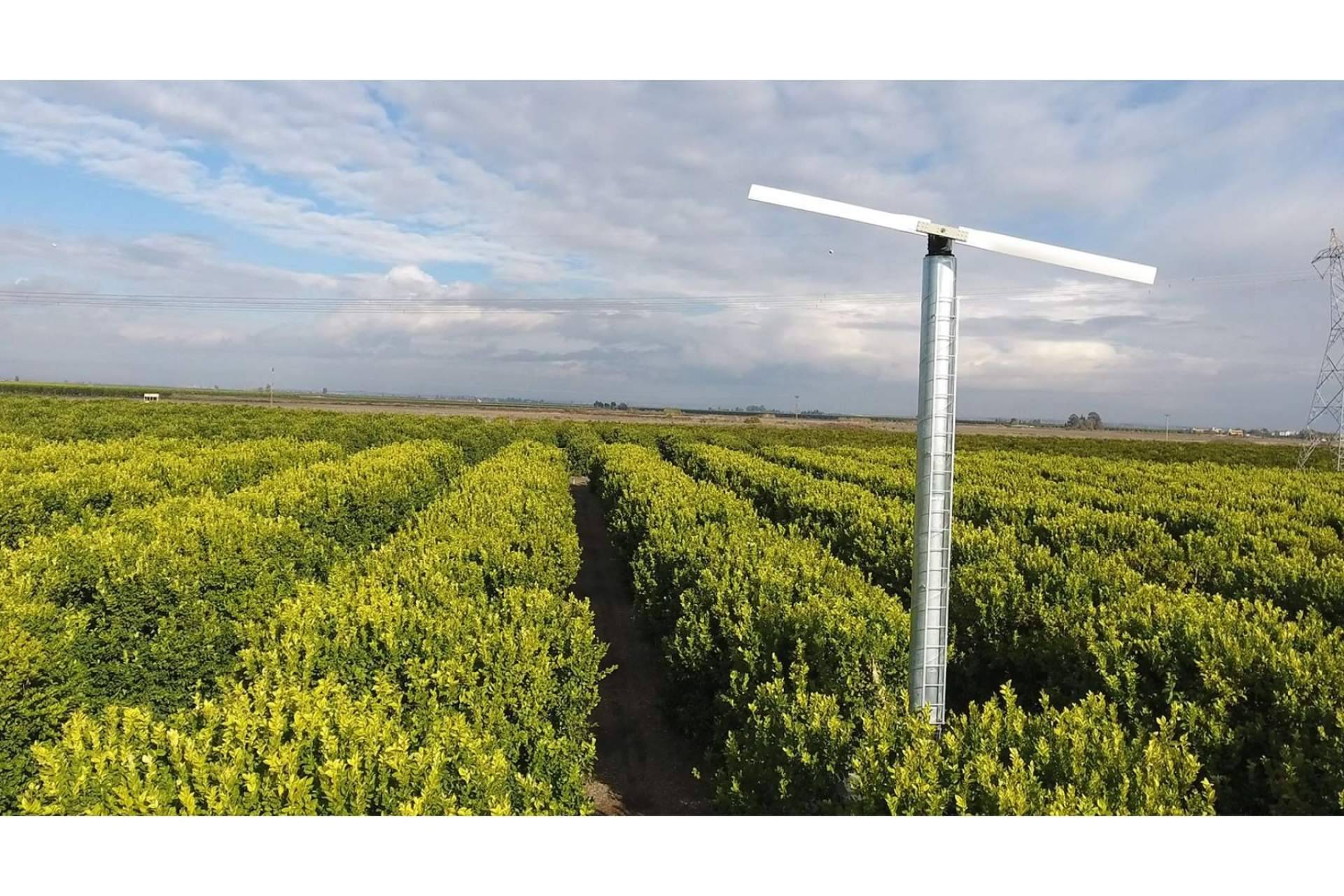 Cómo funciona una torre antihelada en un campo de cítricos