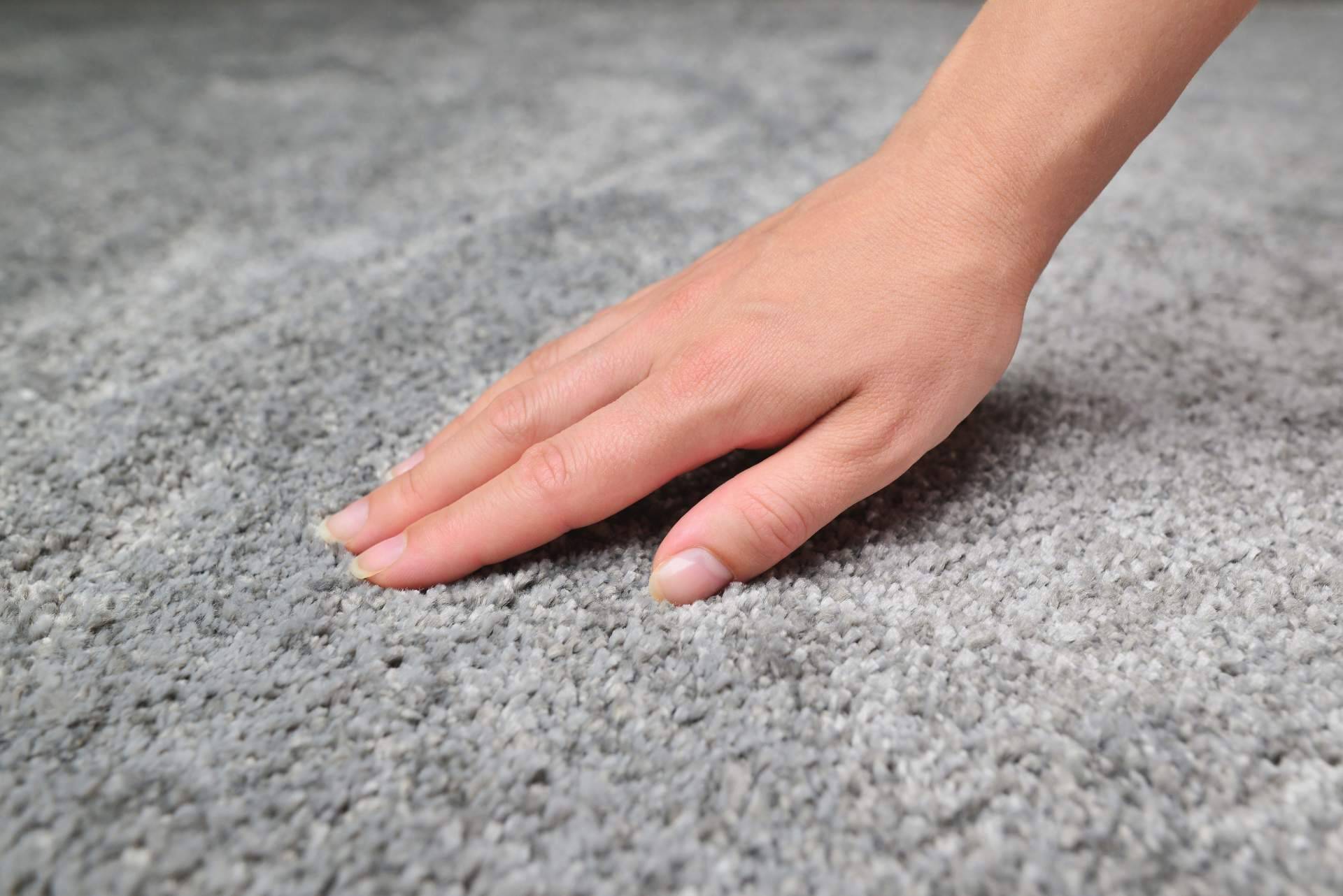 La importancia de acudir a profesionales a la hora de limpiar alfombras, por Washrocks