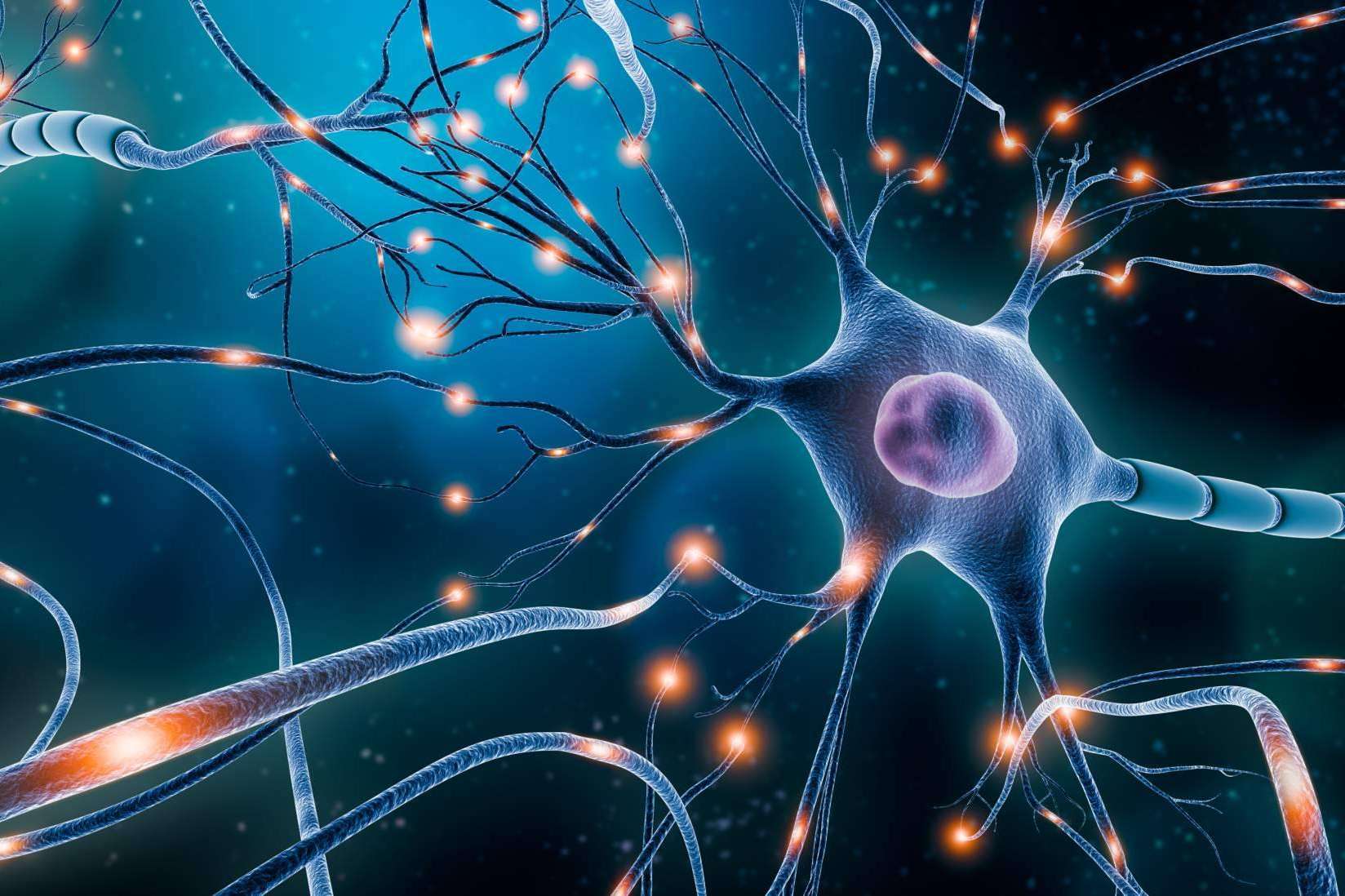La neurociencia, 'una revolución necesaria para formar profesionales que puedan ser válidos en la sociedad', por el Director General de Aicad