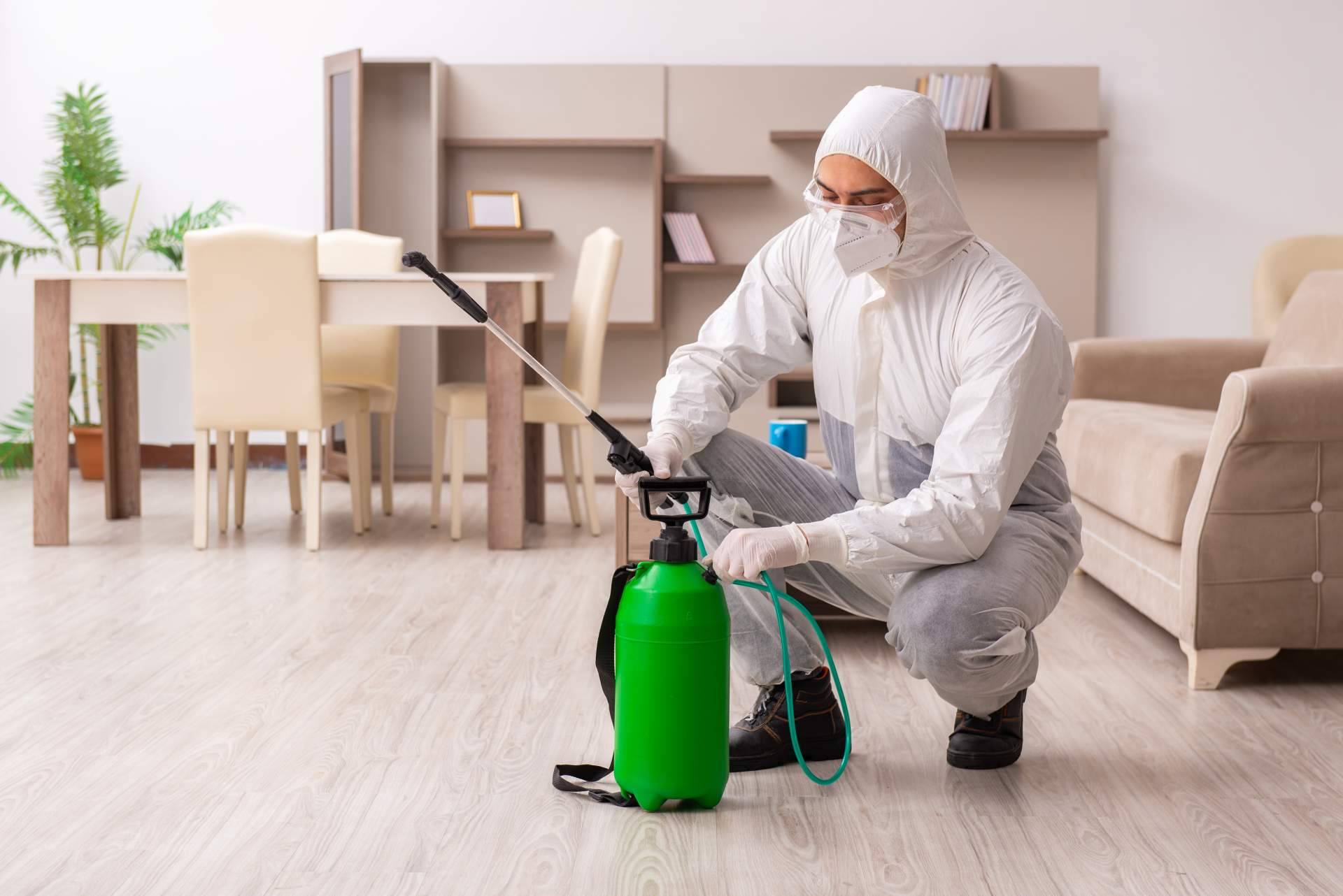 Encontrar trampas e insecticidas para avispas en Productos Antiplagas