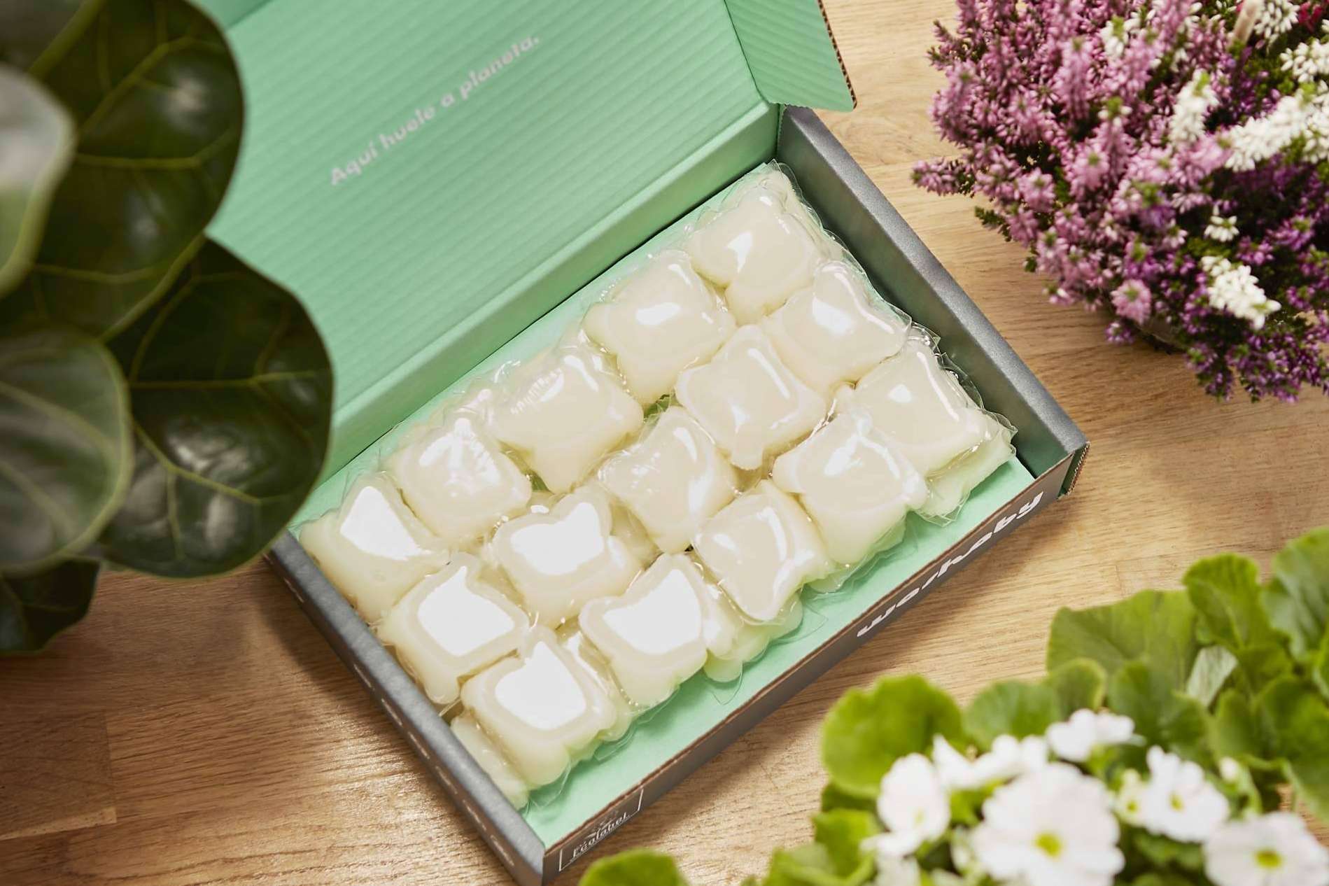 Pasarse al lavado eco con el detergente ecológico Washaby